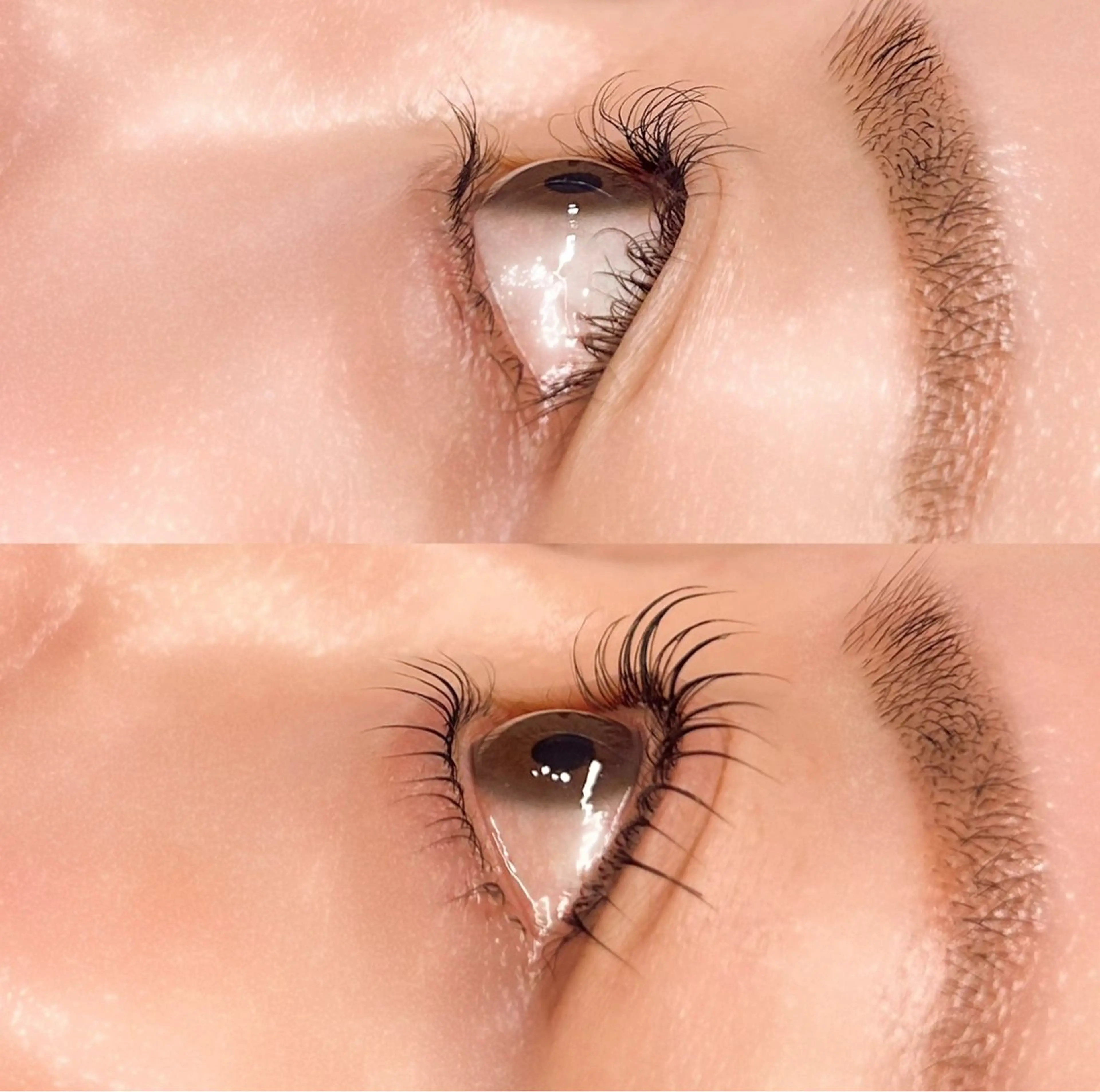 マツエク・マツパ パリジェンヌラッシュリフト まつげパーマ 下まつげエクステ 一重×まつ毛パーマ eyelash salon alb.所属・まつげパーマalb. tomokaのマツエク・マツパデザイン