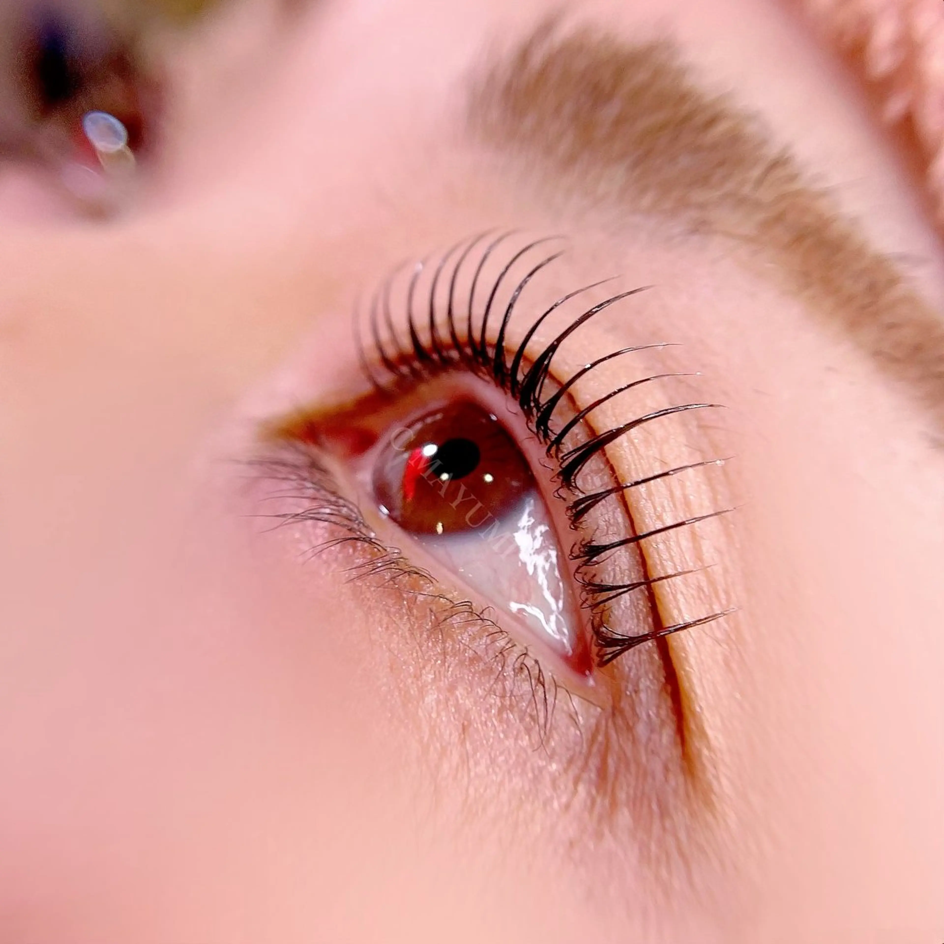 まつ毛集中careリフト(ラッシュリフト＋中間処理剤＋高濃度トリートメント＋アイシャンプー)の写真