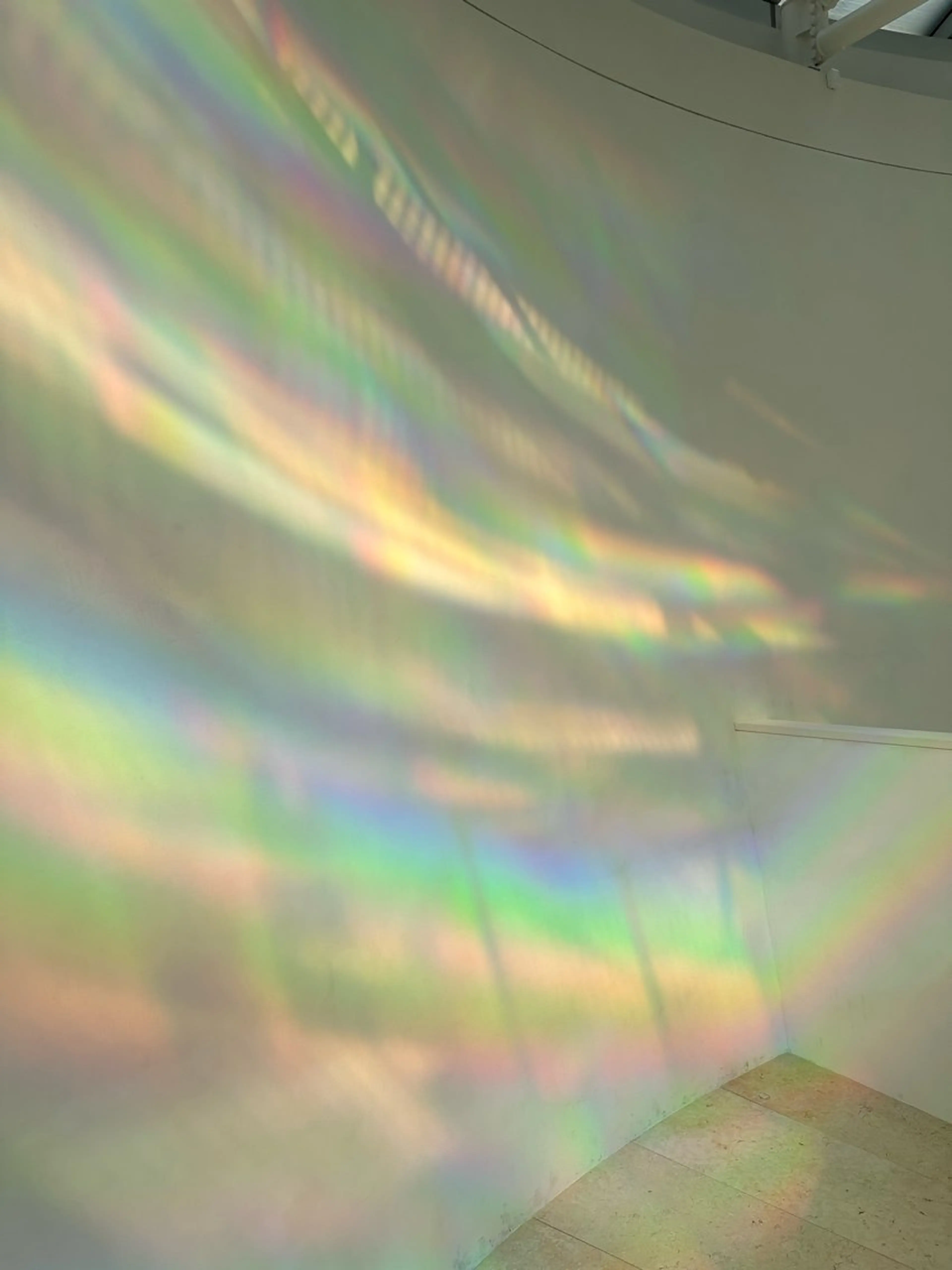 カラー 和田 あおいのヘアスタイル