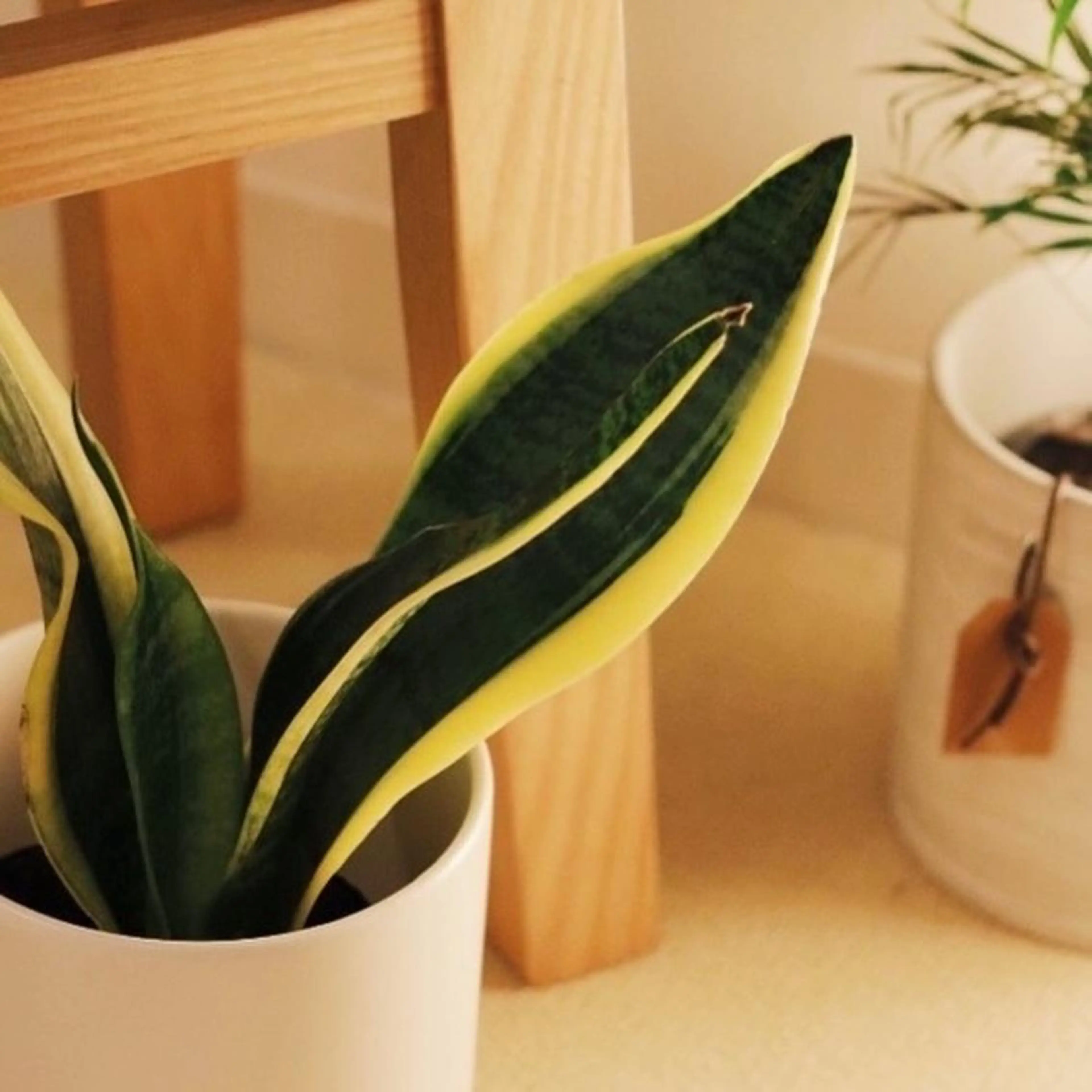 リラク 新宿リラクゼーションサロンSea the  Night所属・【新宿ﾘﾗｸ】Sea the Nightのエステ・リラクイメージ