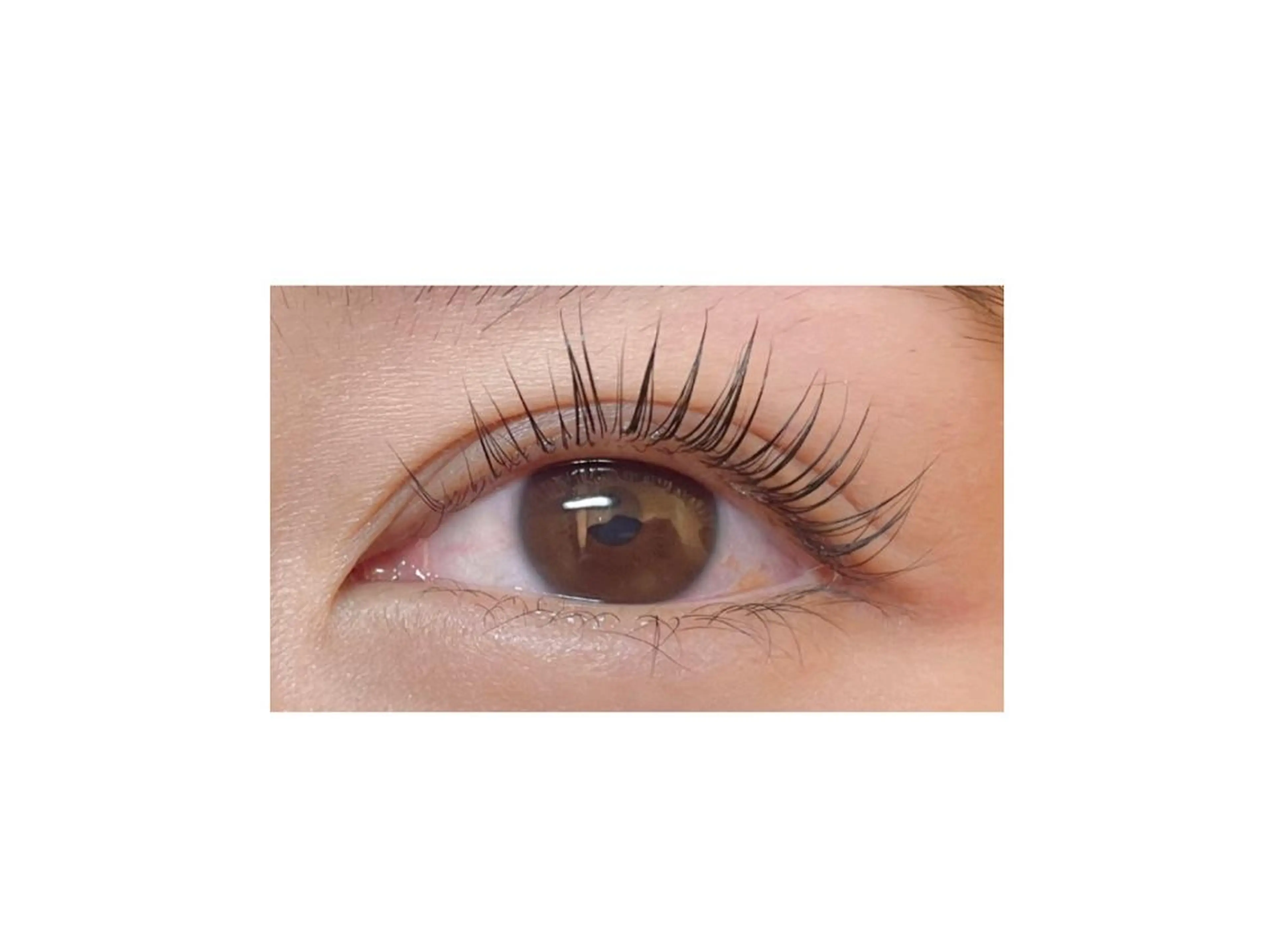 🕊パリジェンヌラッシュリフト🕊 ケラチントリートメント付の写真