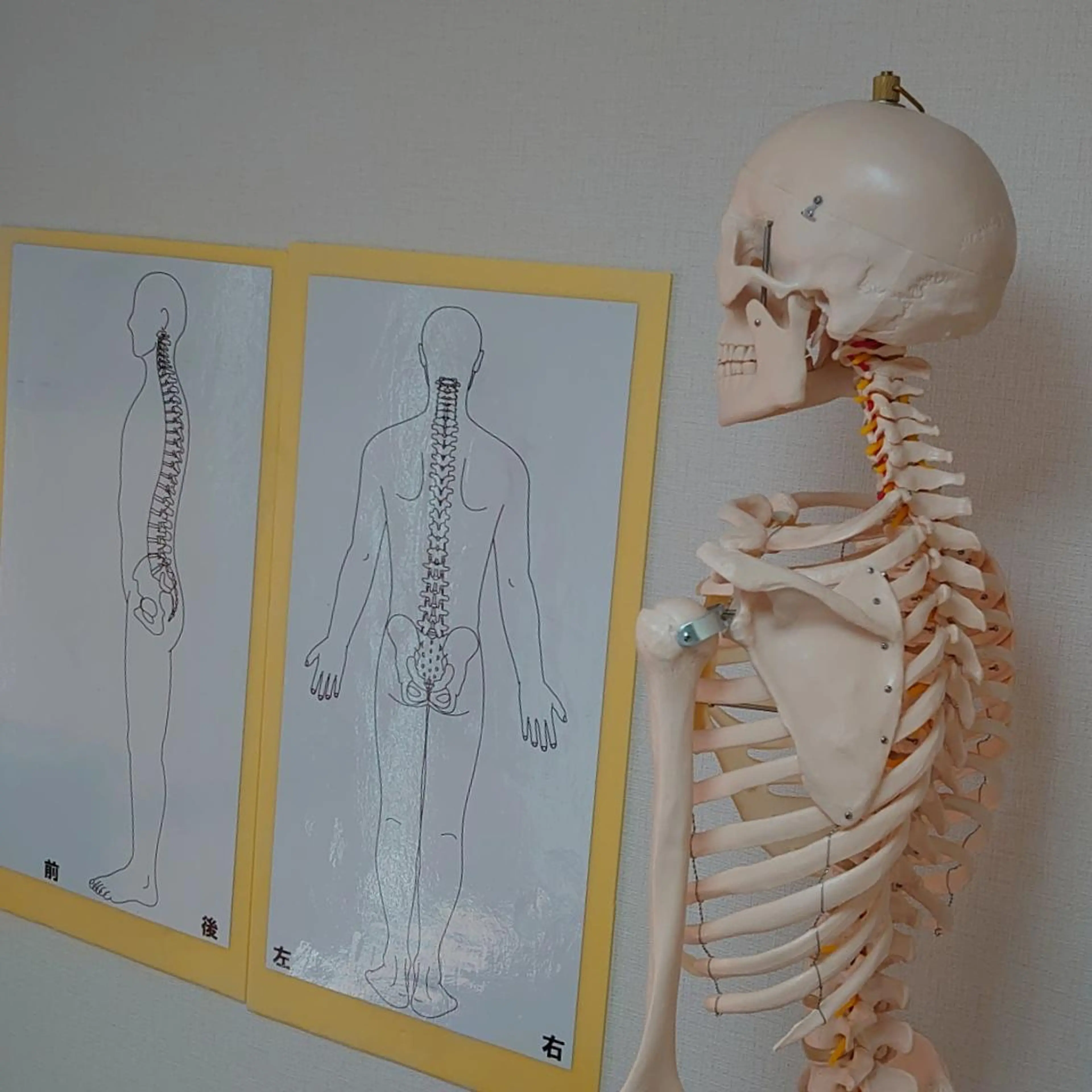 三田上倉整体所属・三田上倉 整体のエステ・リラクイメージ