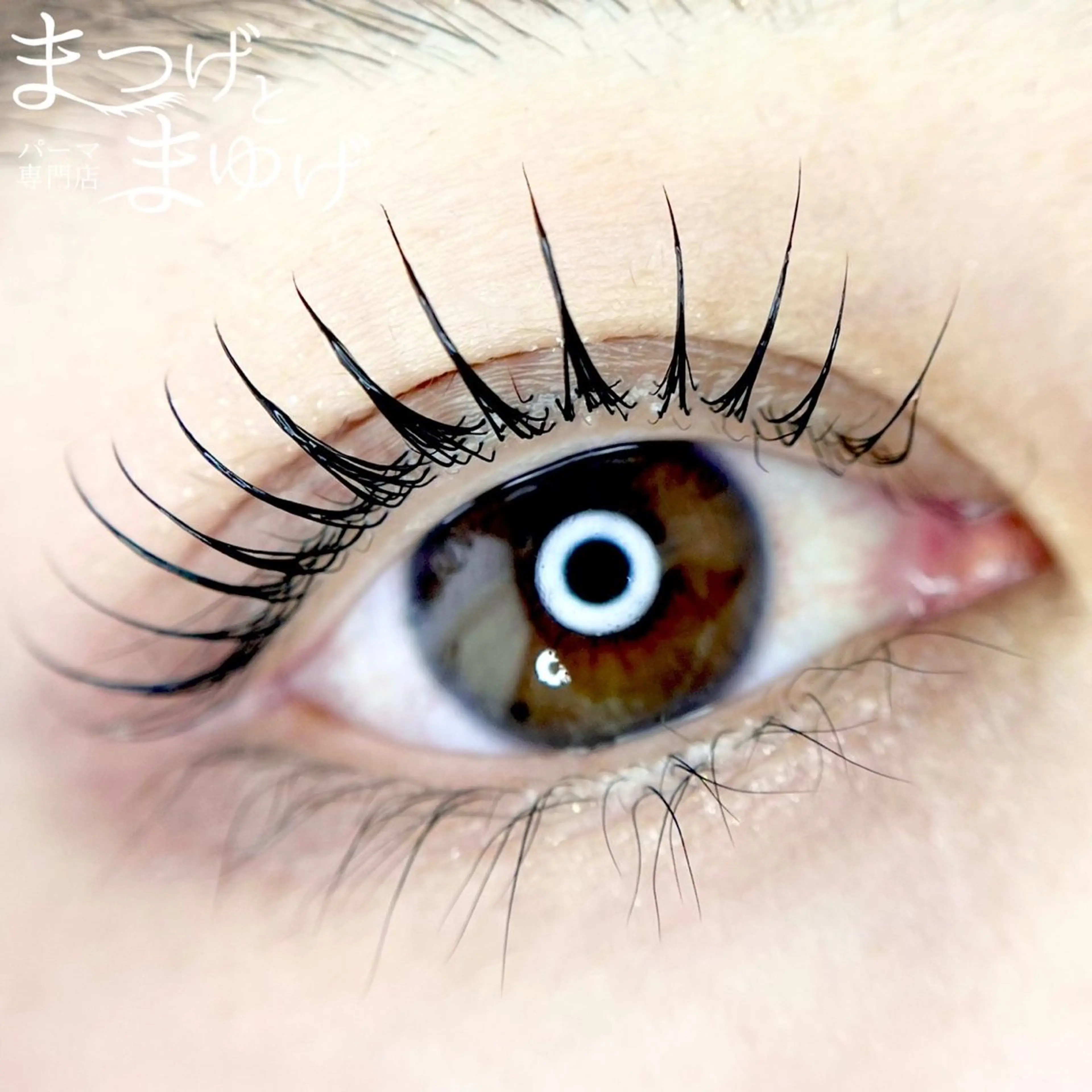 マツエク・マツパ パーマ専門店まつげとまゆげ難波店所属・まほ 💎のマツエク・マツパデザイン