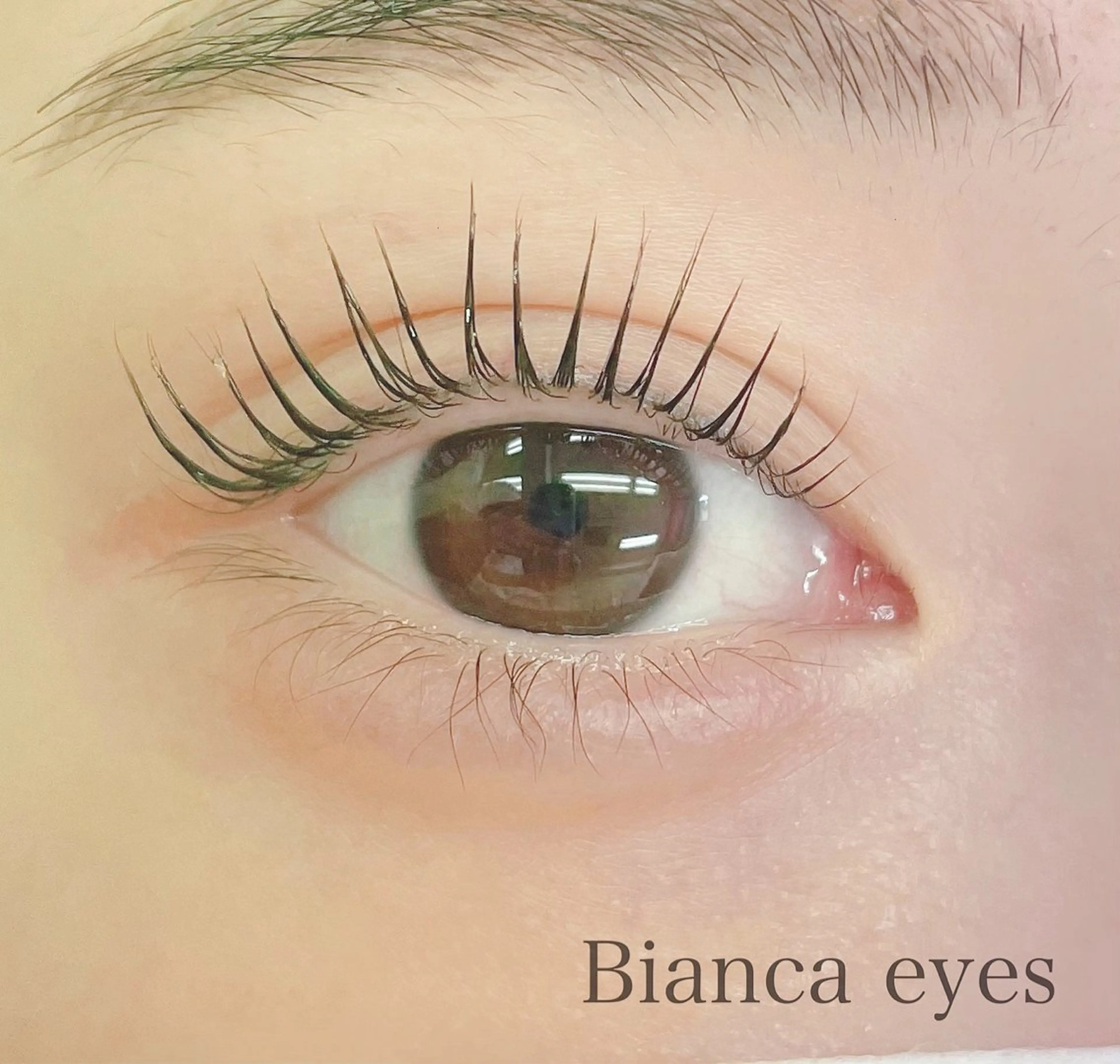 マツエク・マツパ マツパ Bianca金町🤍 HASHIMOTOのマツエク・マツパデザイン