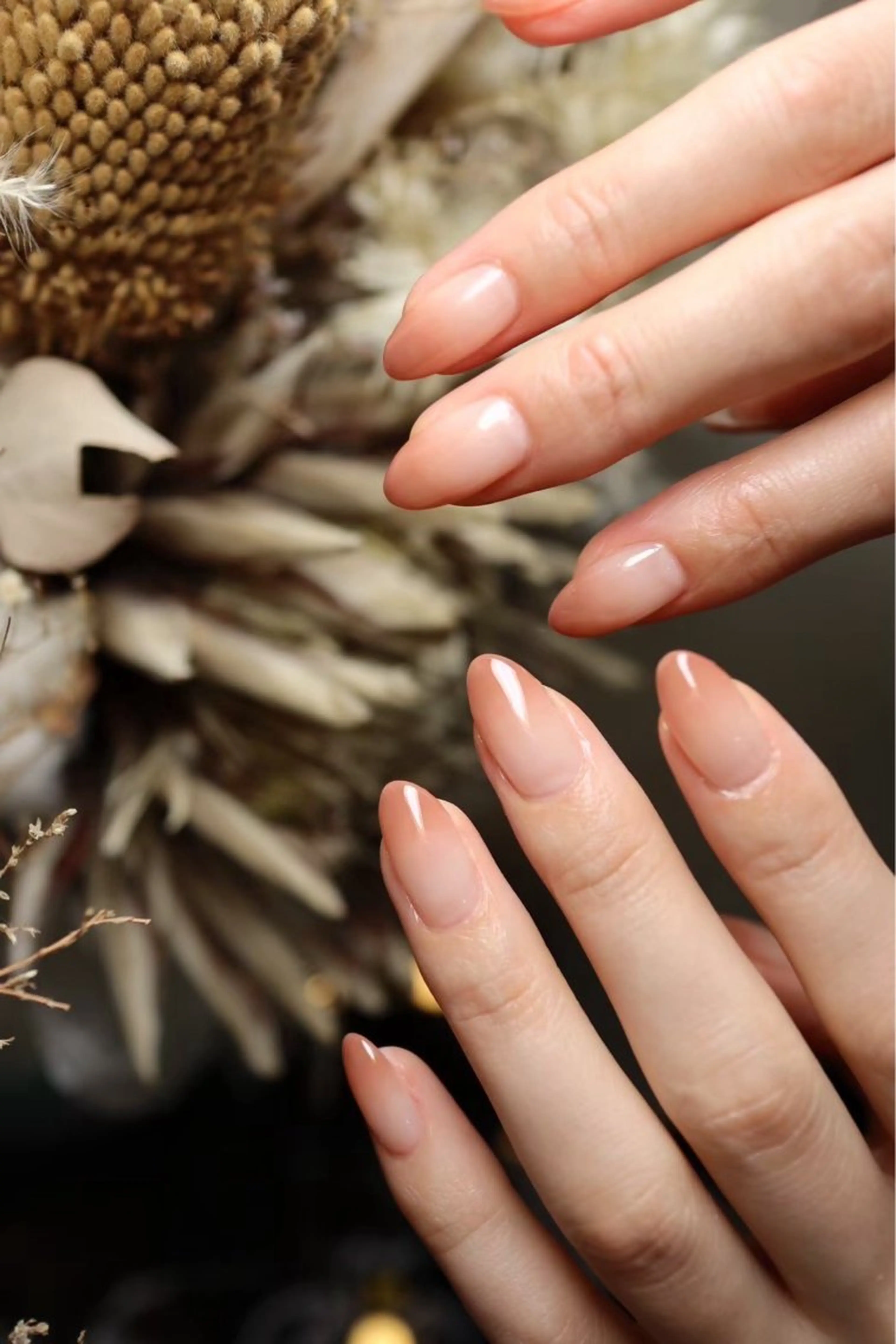 ネイル グラデーション Kaka  nails所属・🌷 Ryoko🌷のネイルデザイン