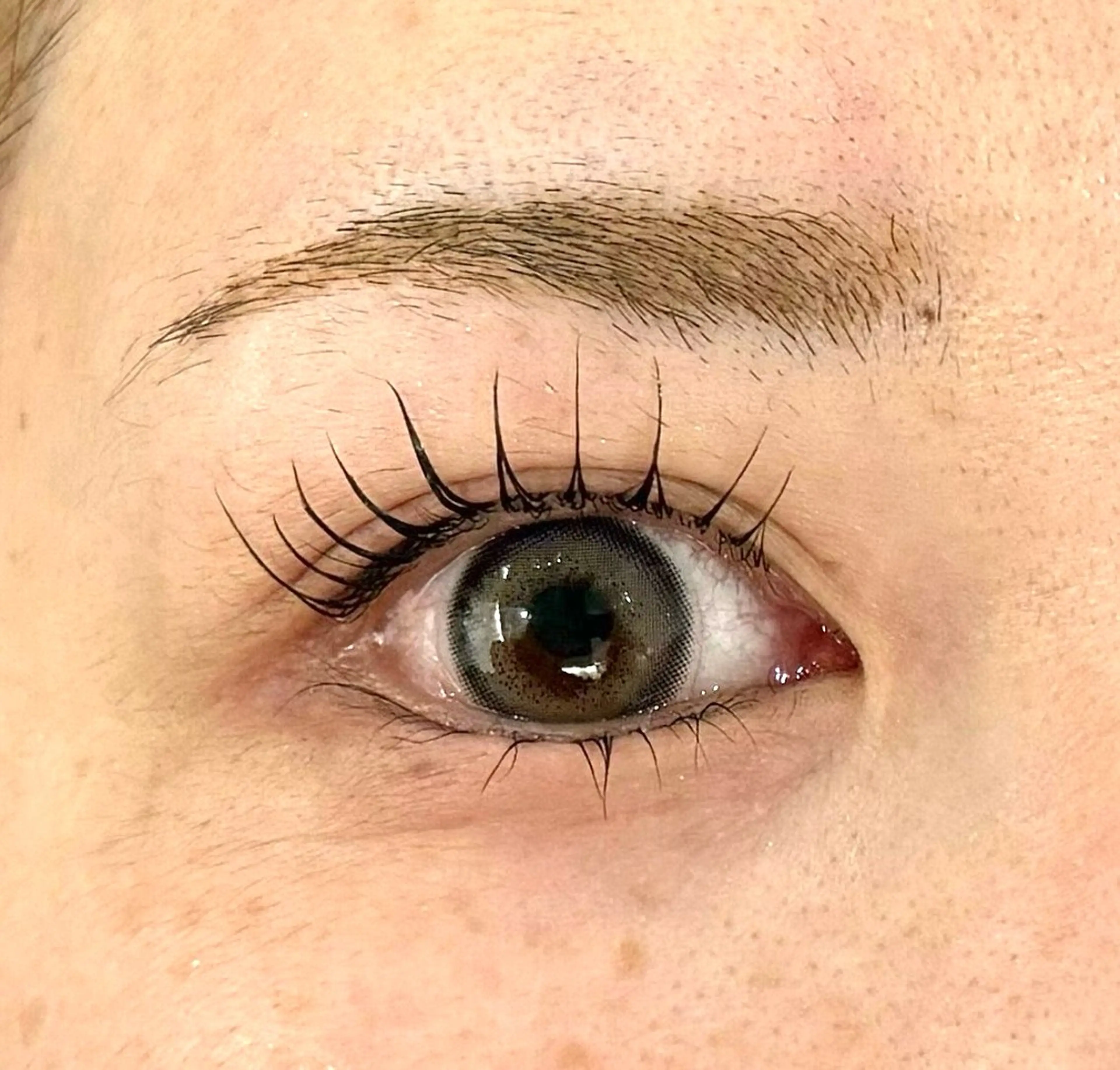 マツエク・マツパ 秋藤 朱璃のマツエク・マツパデザイン