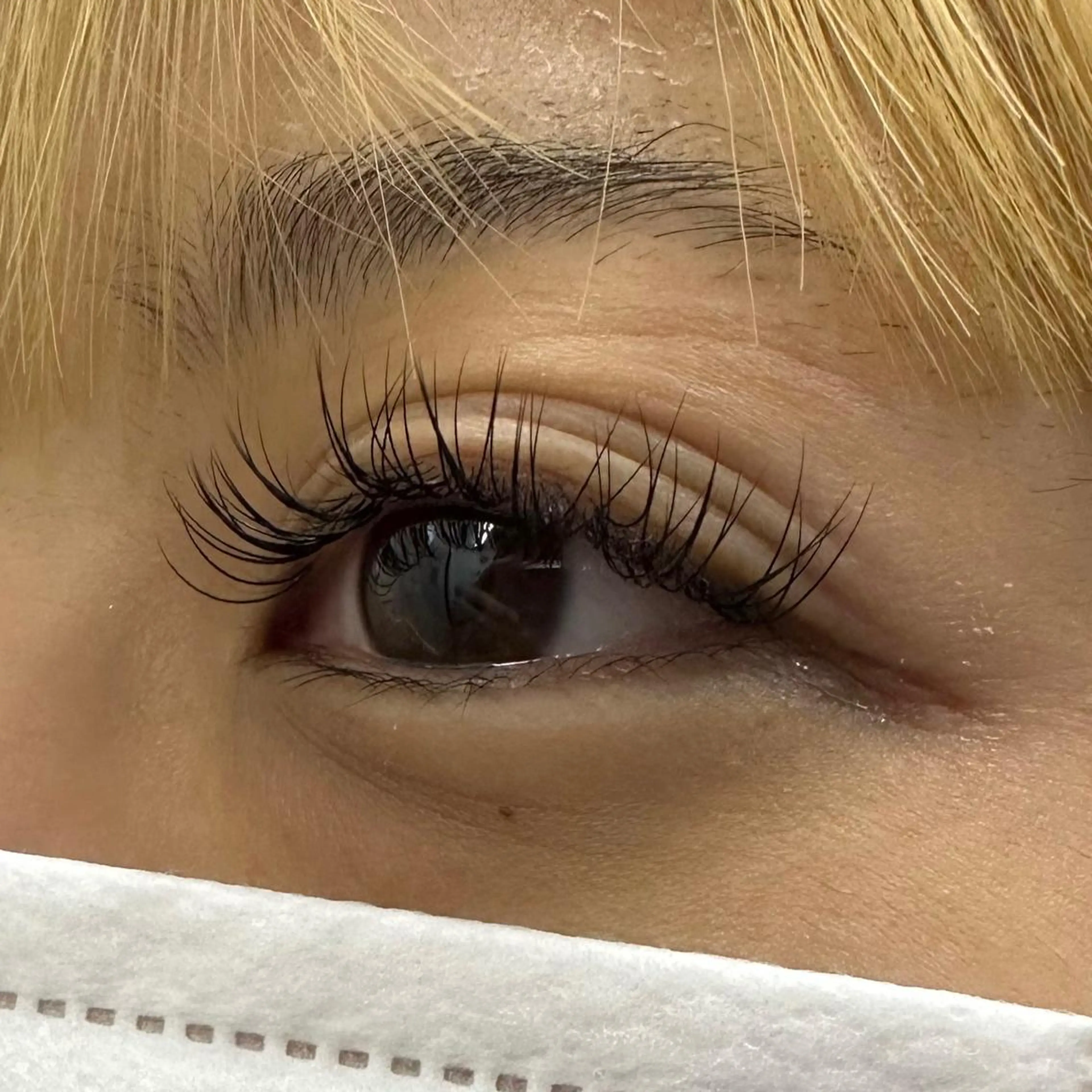 マツエク・マツパ Dカール Miyu🦄ash メンズカット/まつげのヘアスタイル