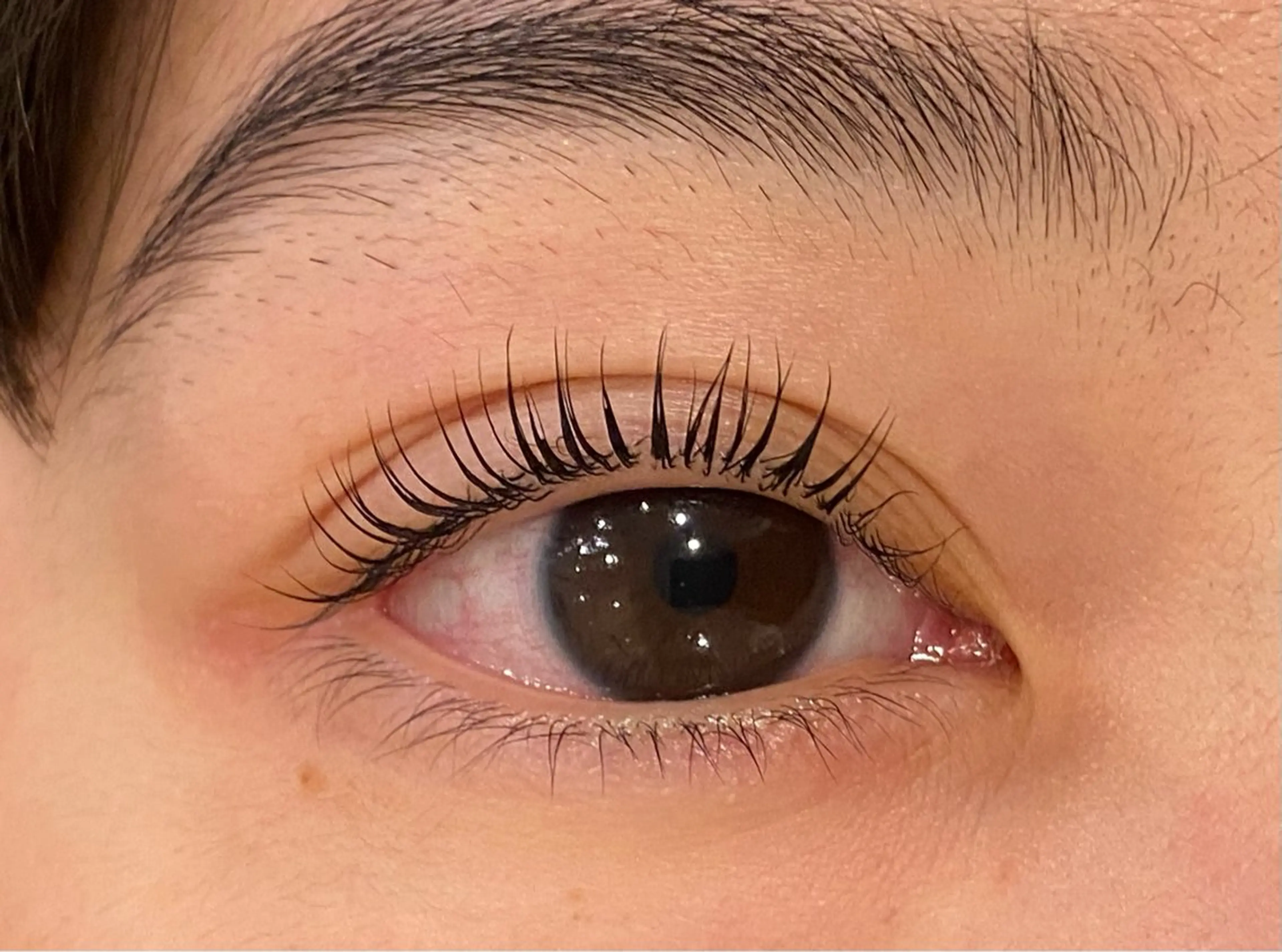 マツエク・マツパ Daisy lash 京橋店堀井のマツエク・マツパデザイン