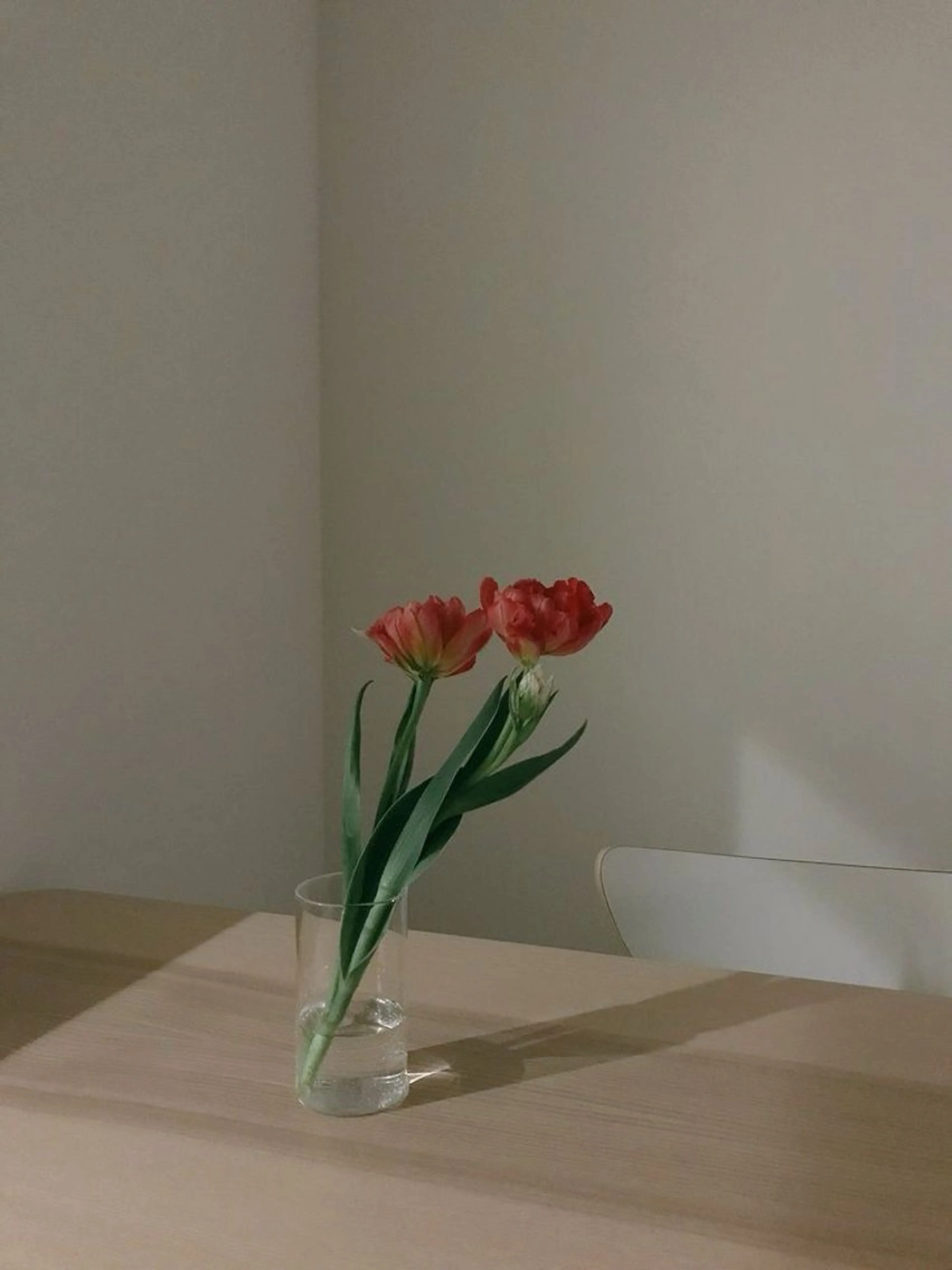 🧴おすすめメニュー🤍【お悩み解決、クリーム60minヘッドスパ】の写真