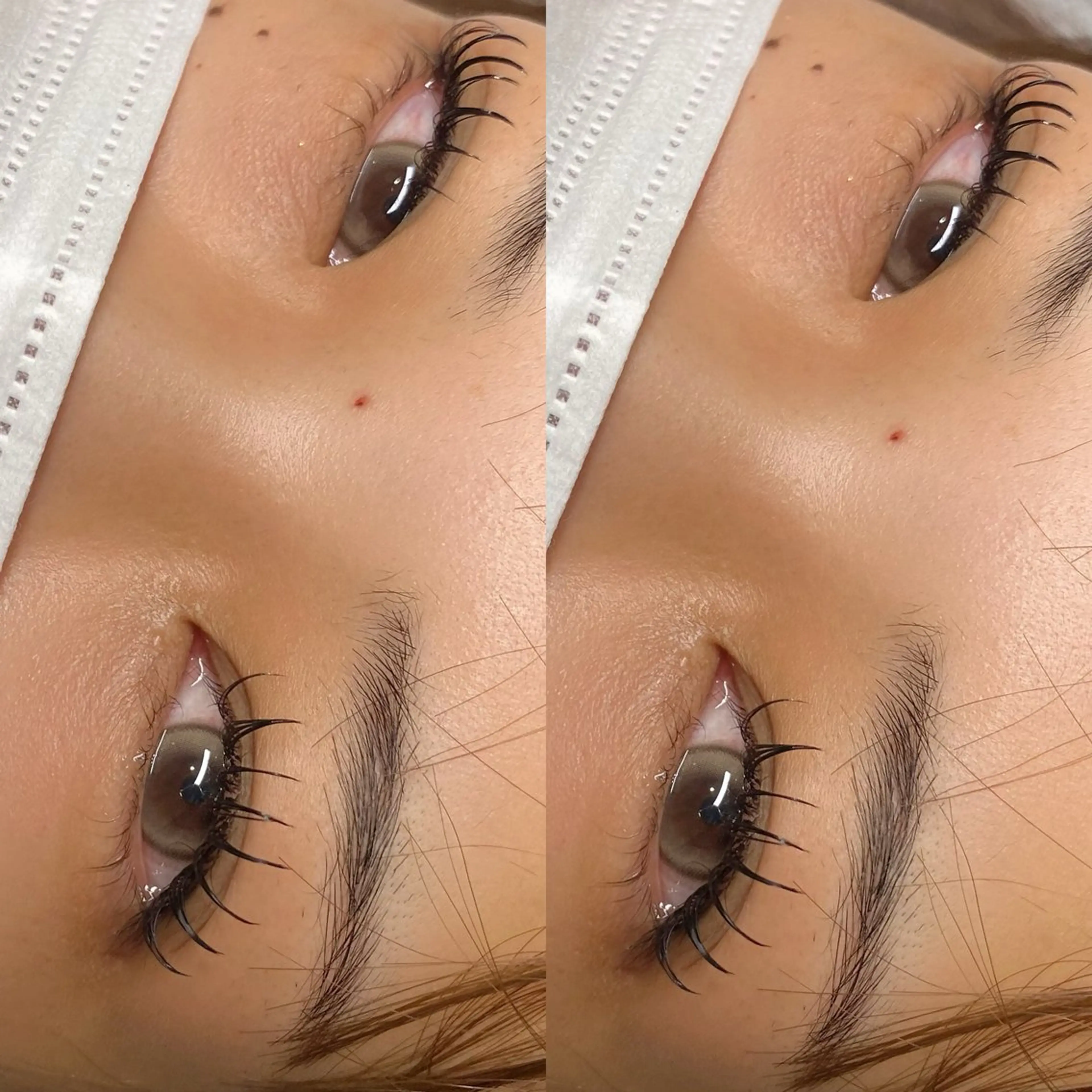 マツエク・マツパ マツエク MAKOTO🌹 Amaranth金山のマツエク・マツパデザイン