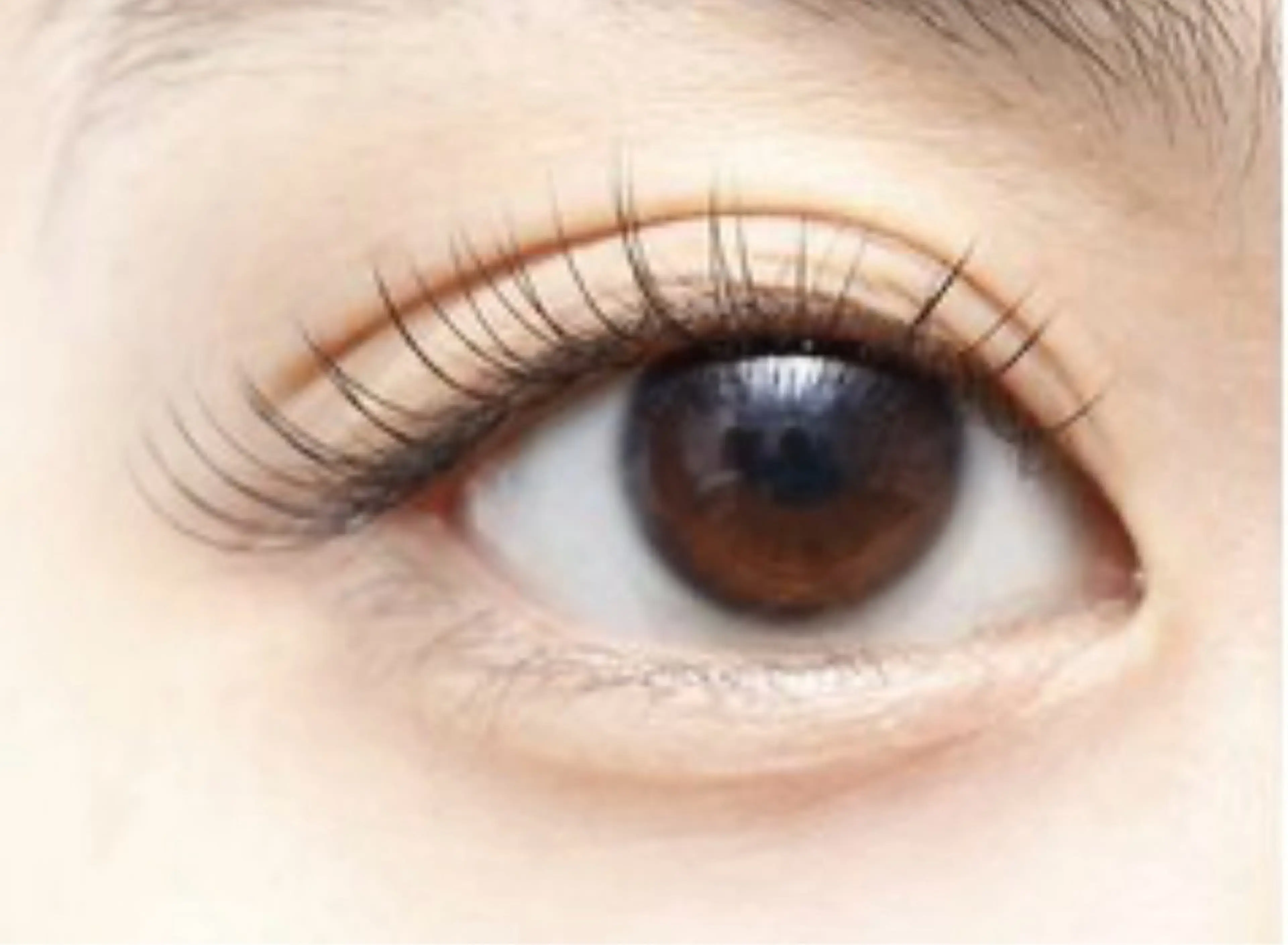 マツエク・マツパ Ꮮua Ꮇuré / KIKIのマツエク・マツパデザイン