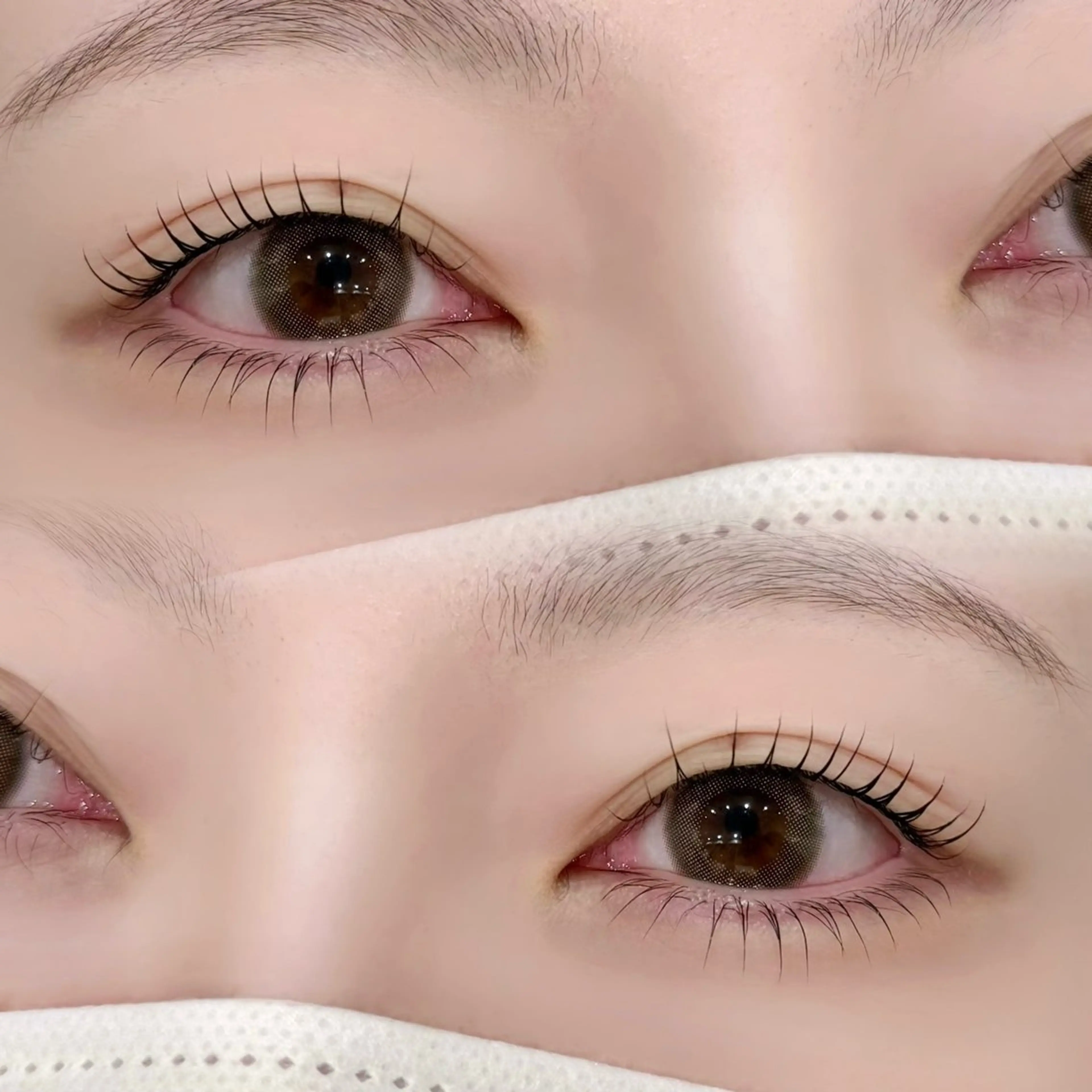 マツエク・マツパ まつげパーマ 下まつげエクステ FOXYLASH Hataiのマツエク・マツパデザイン