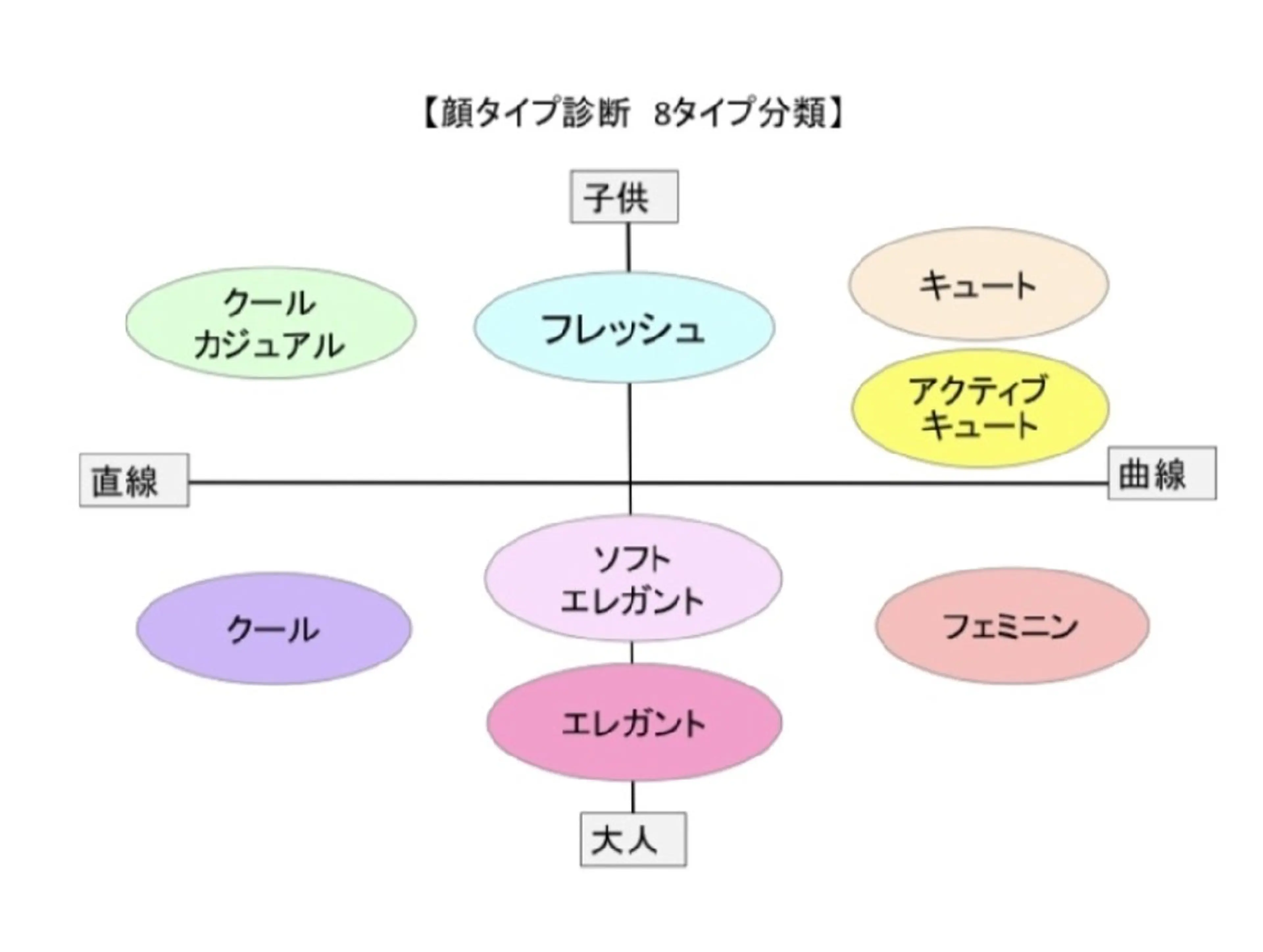顔タイプ診断の写真