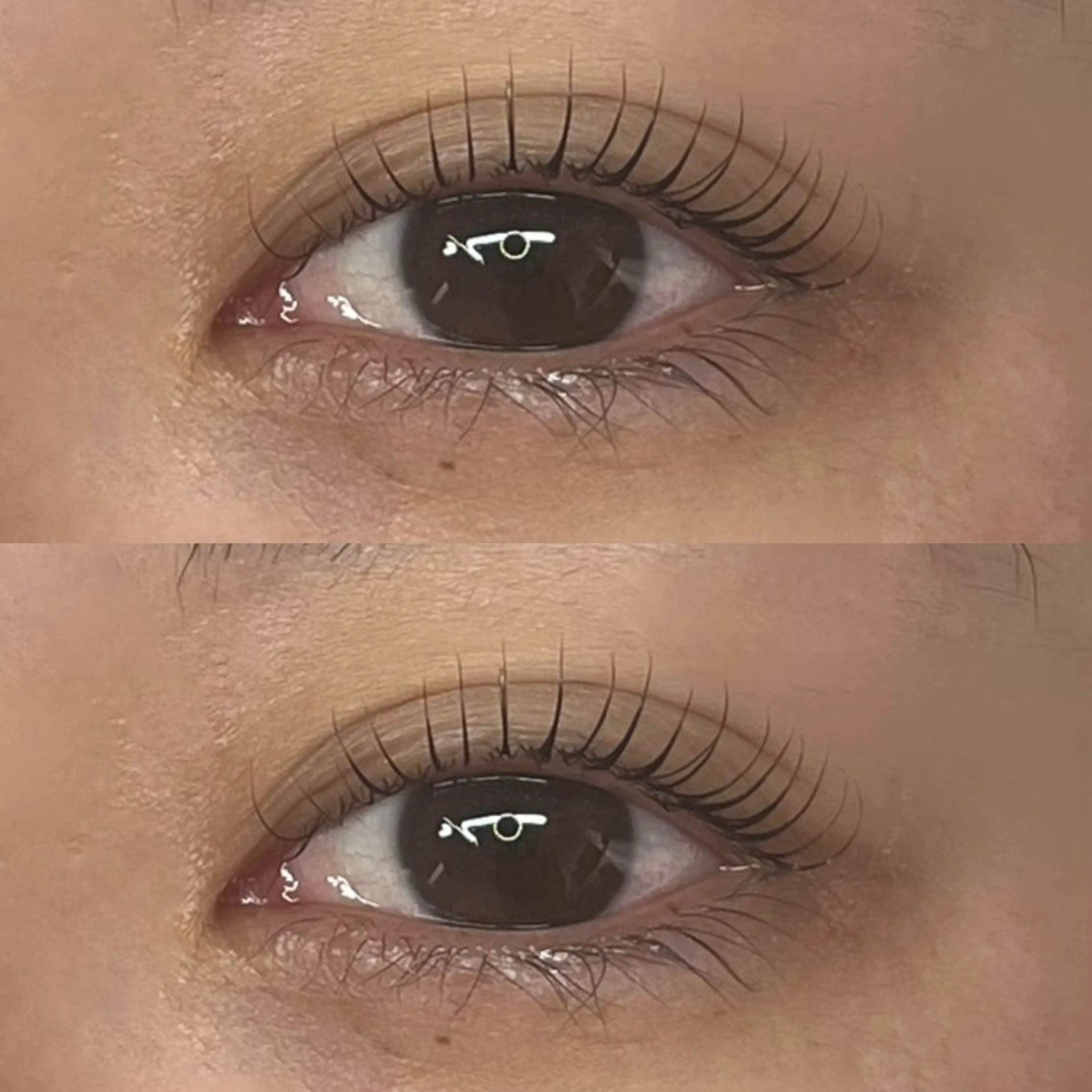 マツエク・マツパ LA CLARTÉ所属・京橋駅ｽｸﾞ🩷🦖 -LaCLARTE-のマツエク・マツパデザイン