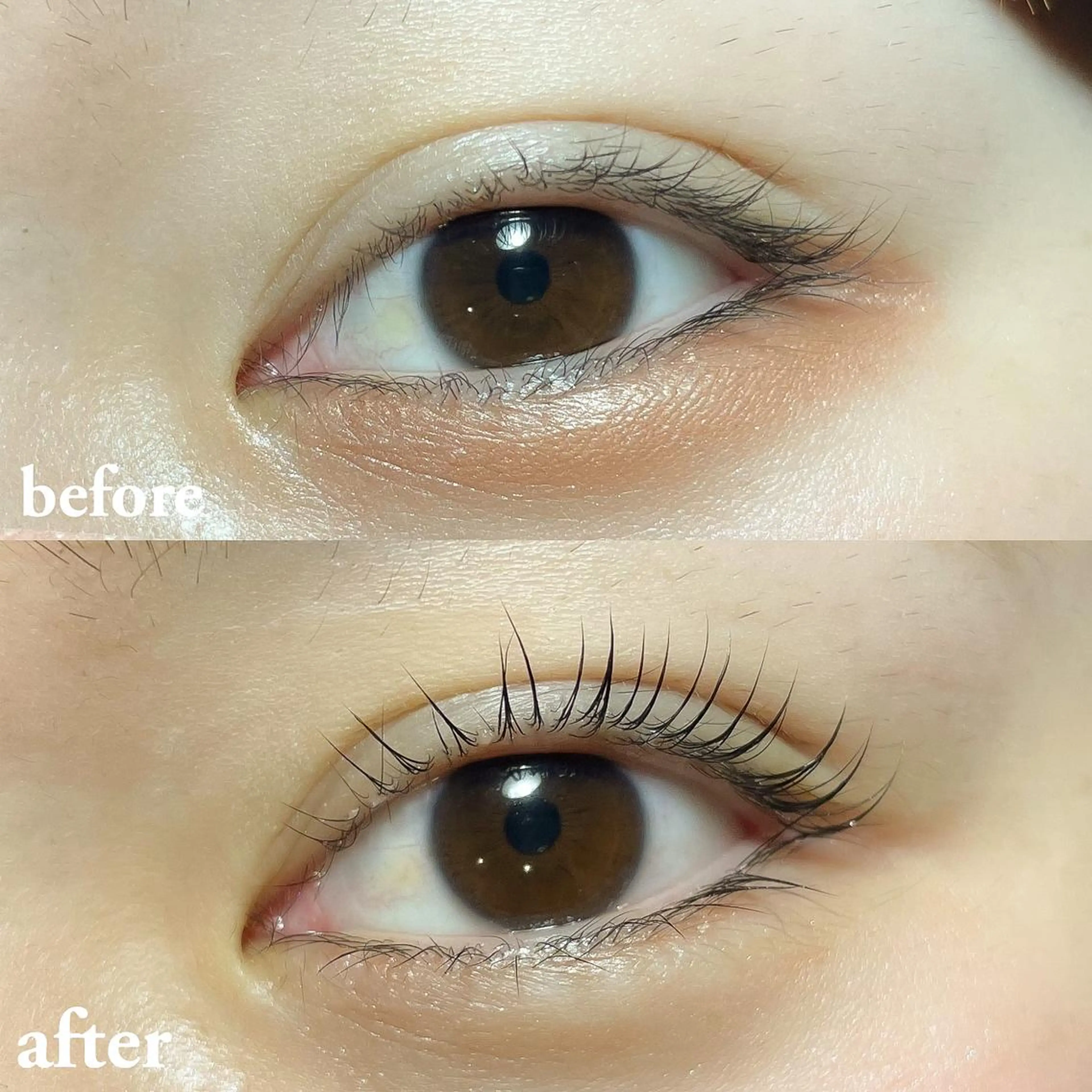 マツエク・マツパ 向井 萌華の眉毛・アイブロウイメージ