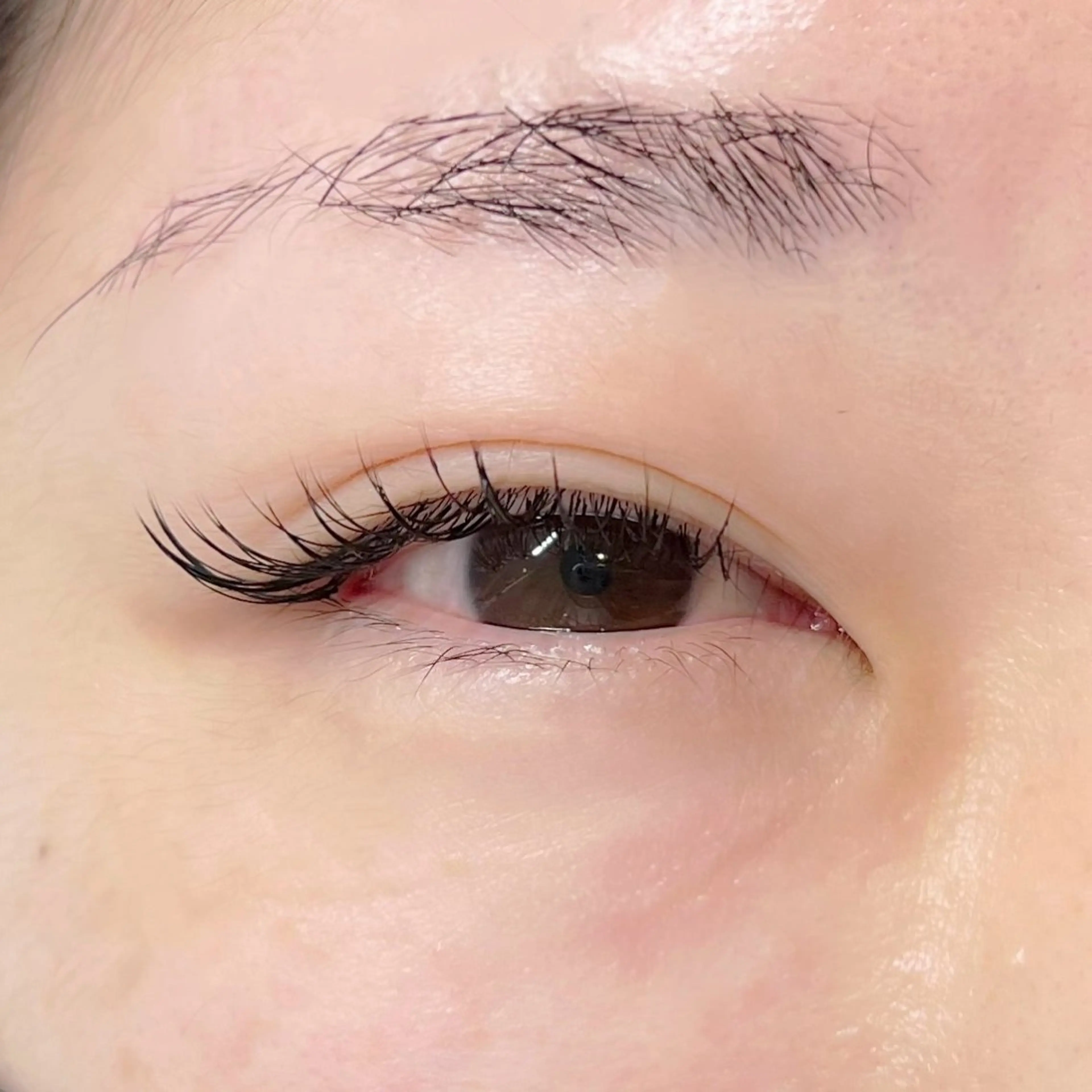 マツエク・マツパ セーブル セクシー kaho / u.のマツエク・マツパデザイン