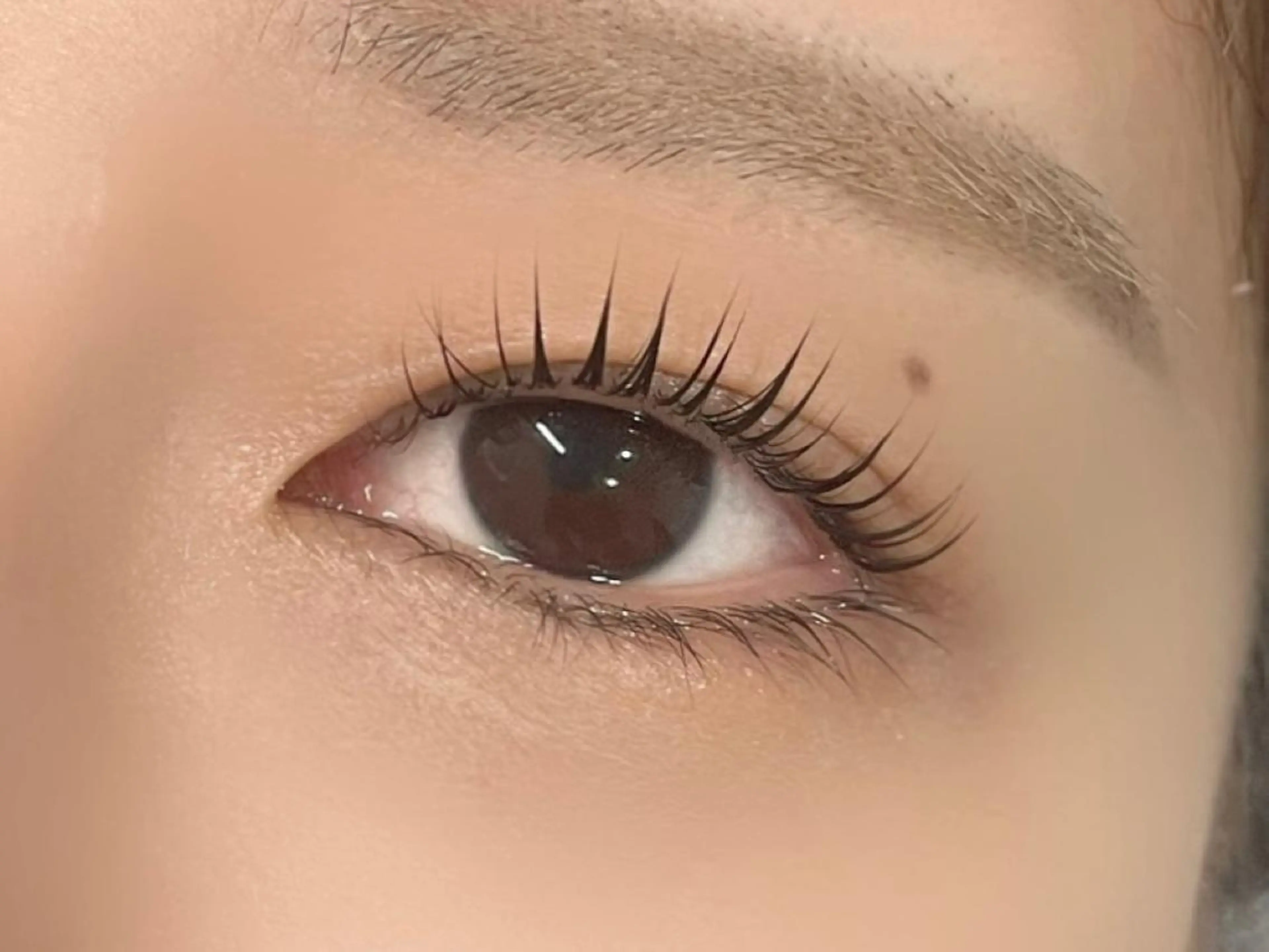 マツエク・マツパ パリジェンヌラッシュリフト EYEMAJIC Pure★高見の眉毛・アイブロウイメージ