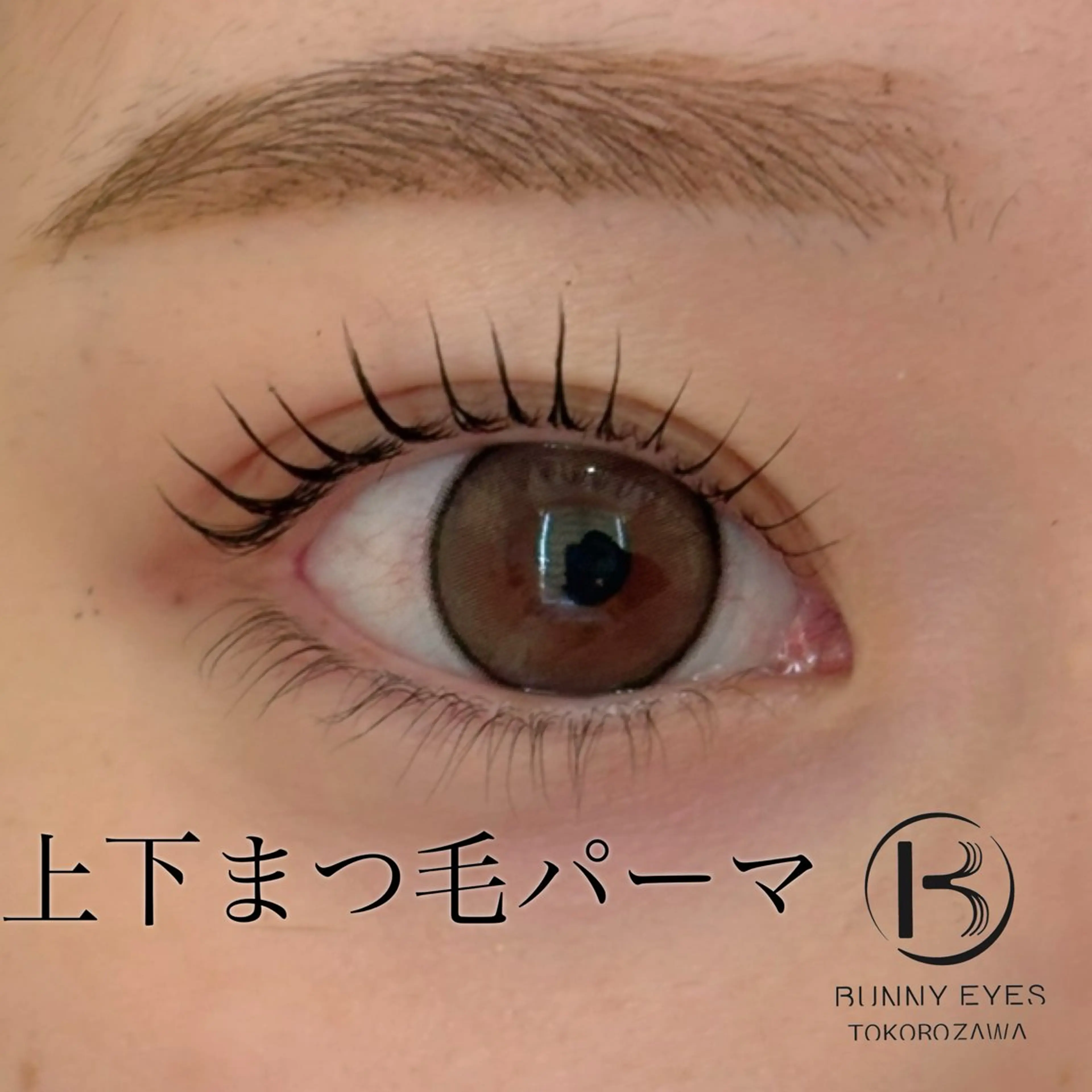 マツエク・マツパ まつげパーマ Bunnyeyes 村岸の眉毛・アイブロウイメージ