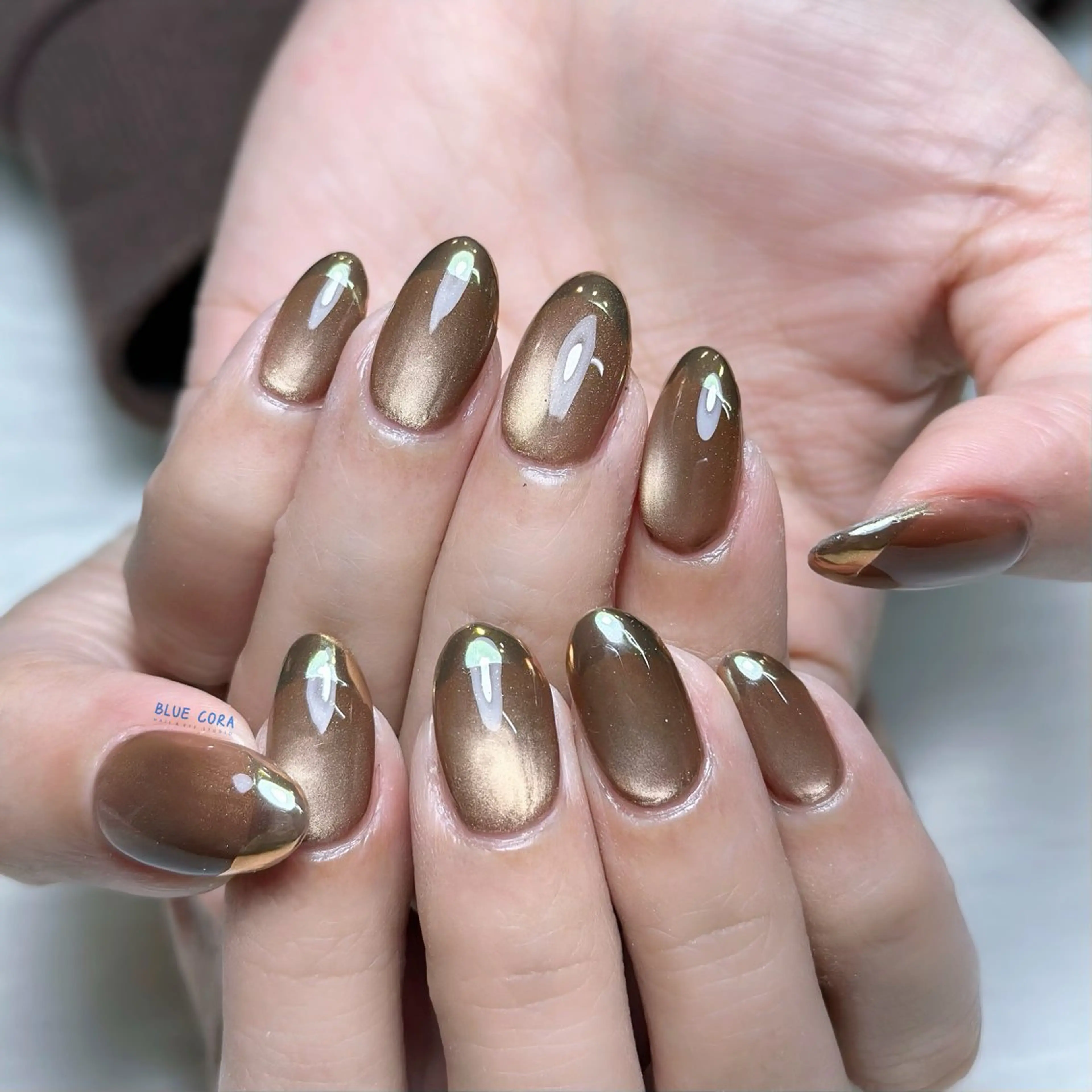 ネイル オーロラネイル フレンチネイル マグネットネイル ハンドネイル ハンドケア BLUE CORA所属・BLUE CORAのネイルデザイン