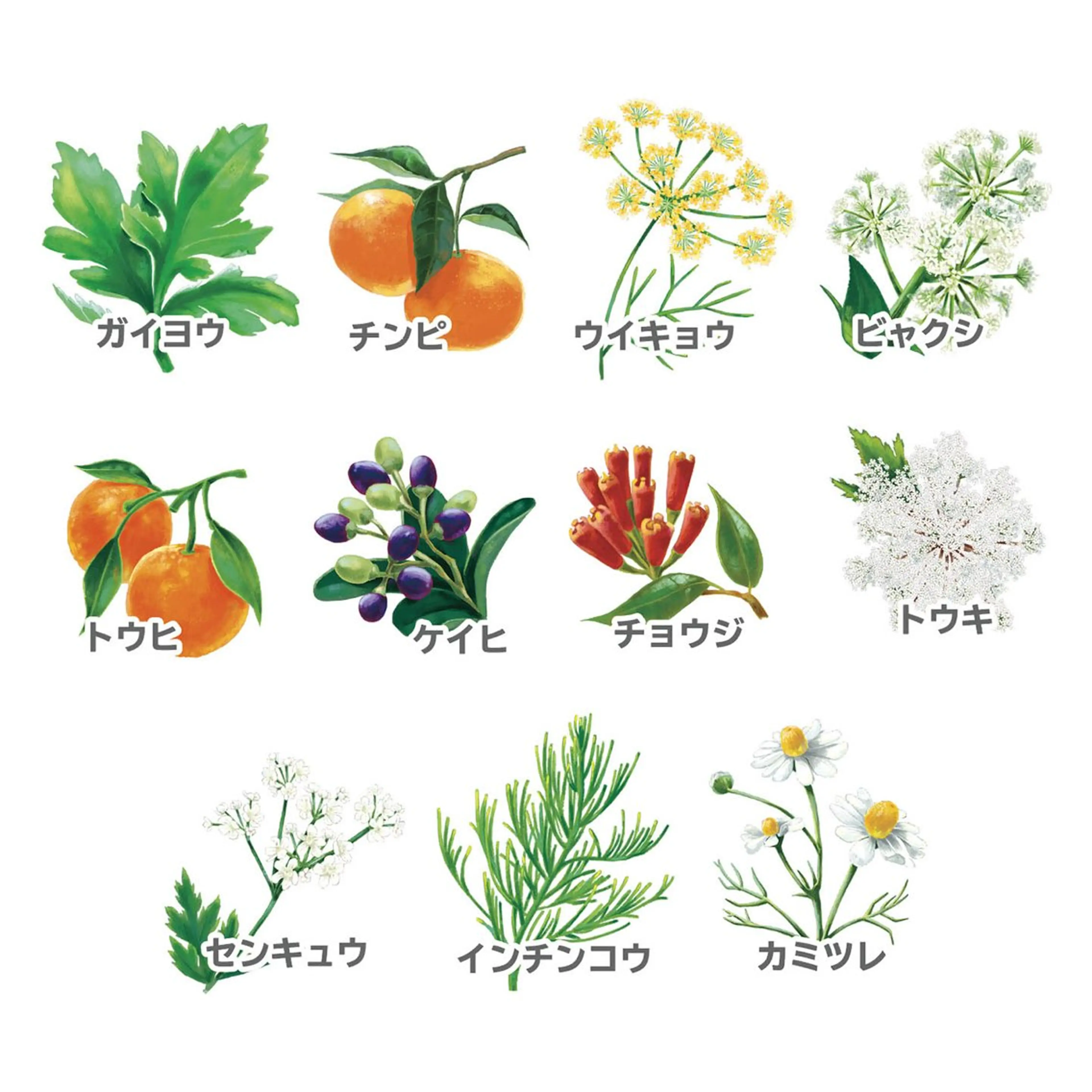 エステ 痩身温活サロン LUMiAのエステ・リラクイメージ