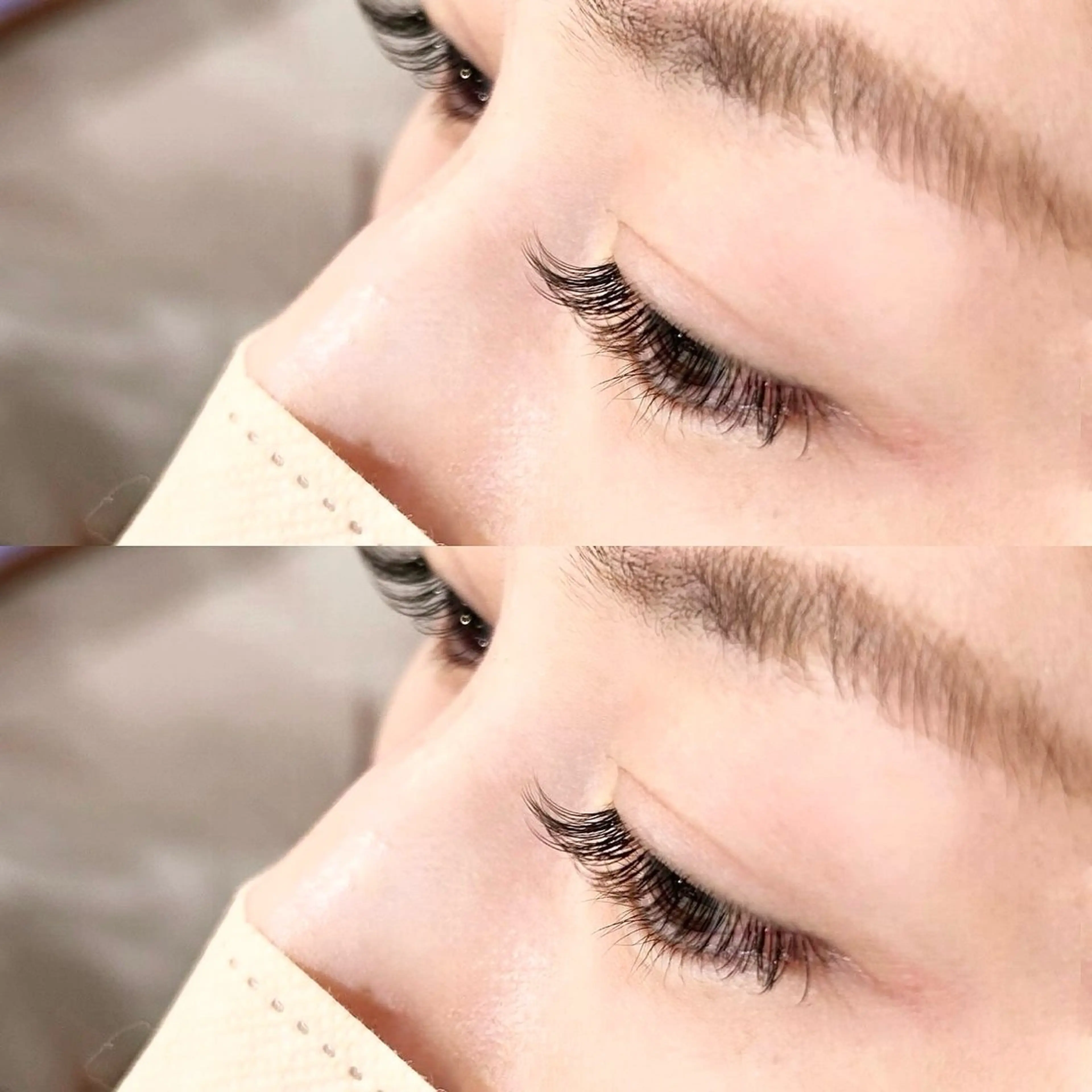 【限定クーポン！オフ込み】フラットラッシュ100本の写真