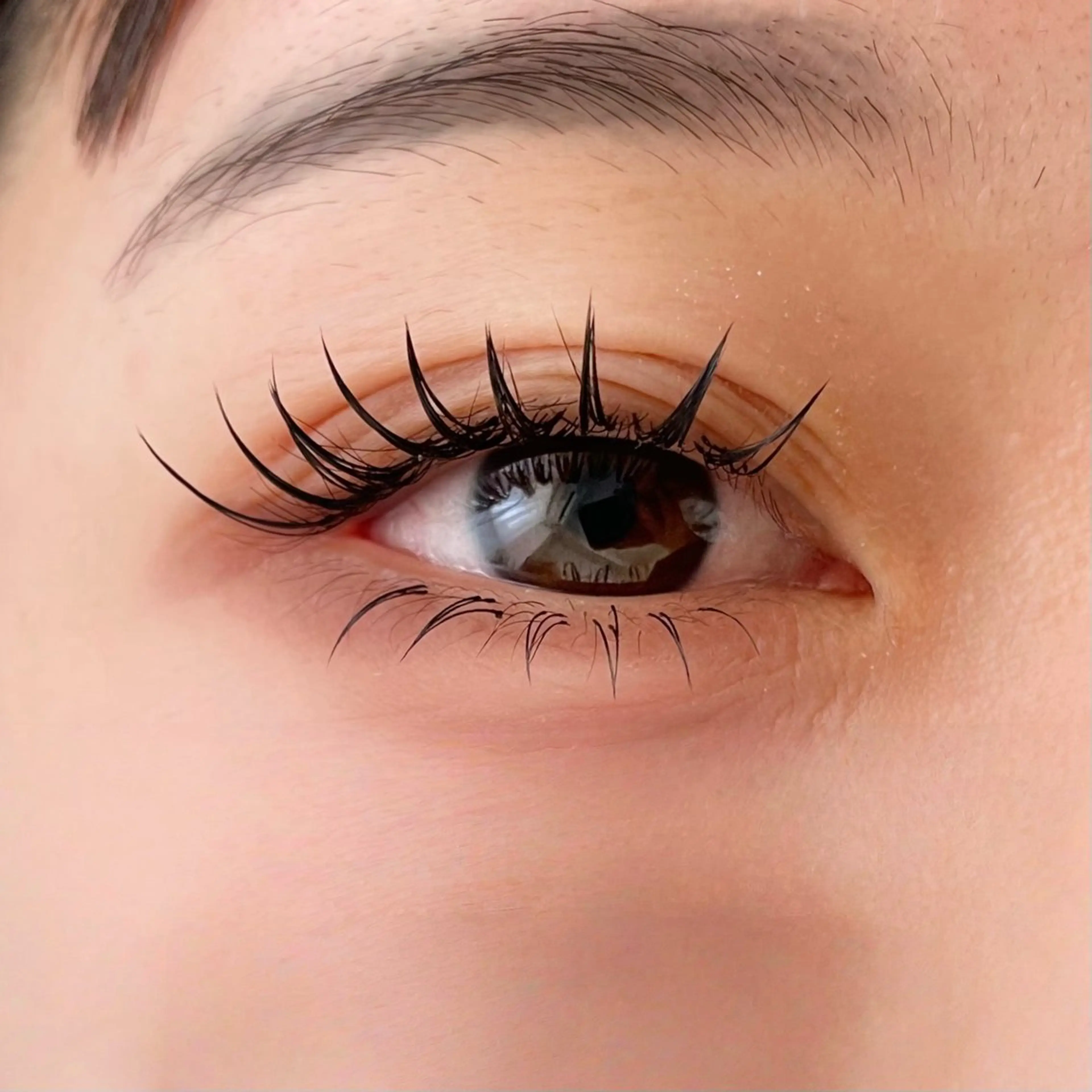 🫧フラットラッシュ 上下付け放題の写真