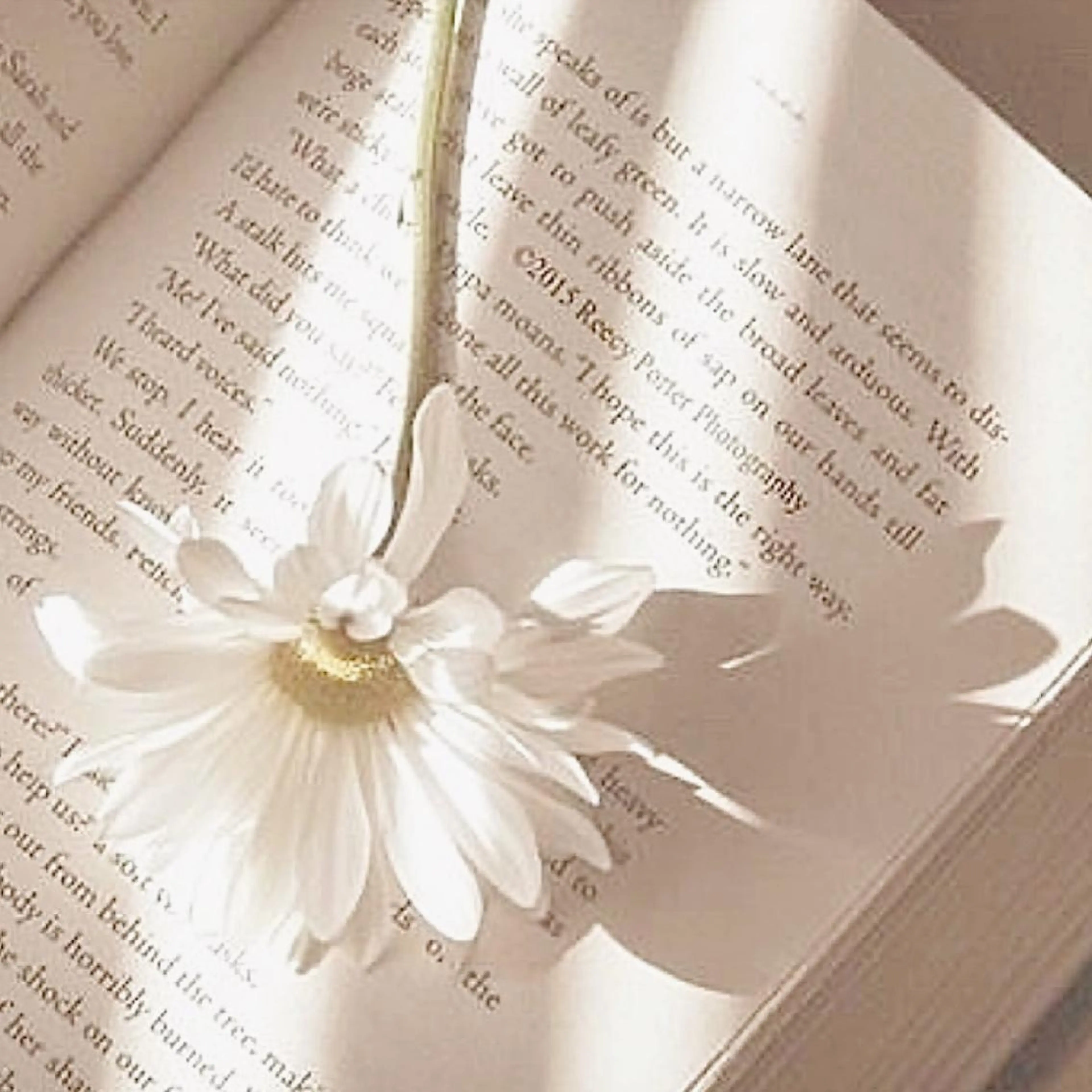 ネイル 𓂃🦢Aurora Swan🌙𓂃のネイルデザイン