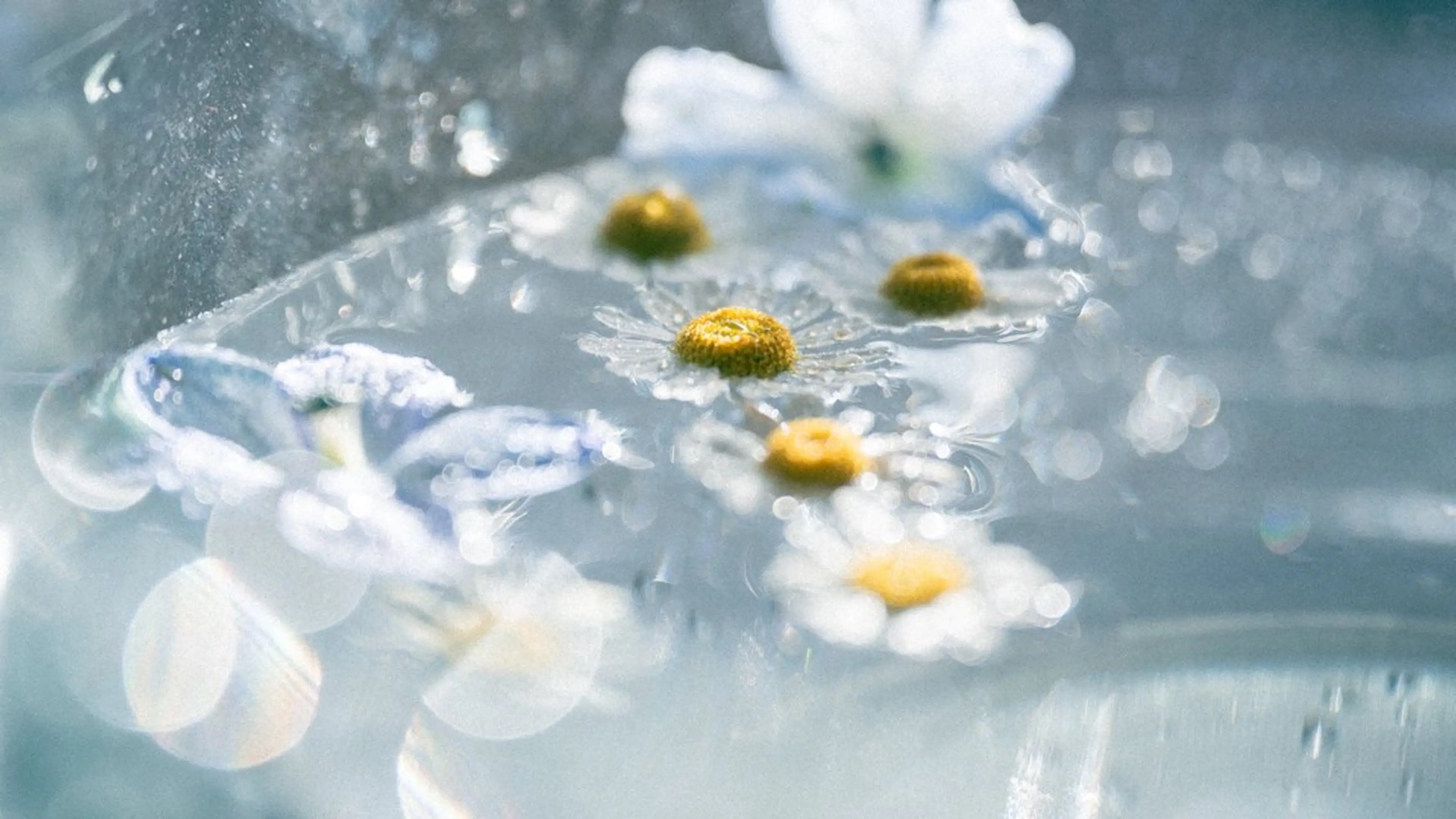 🌼二本柳 🌼のヘアスタイル