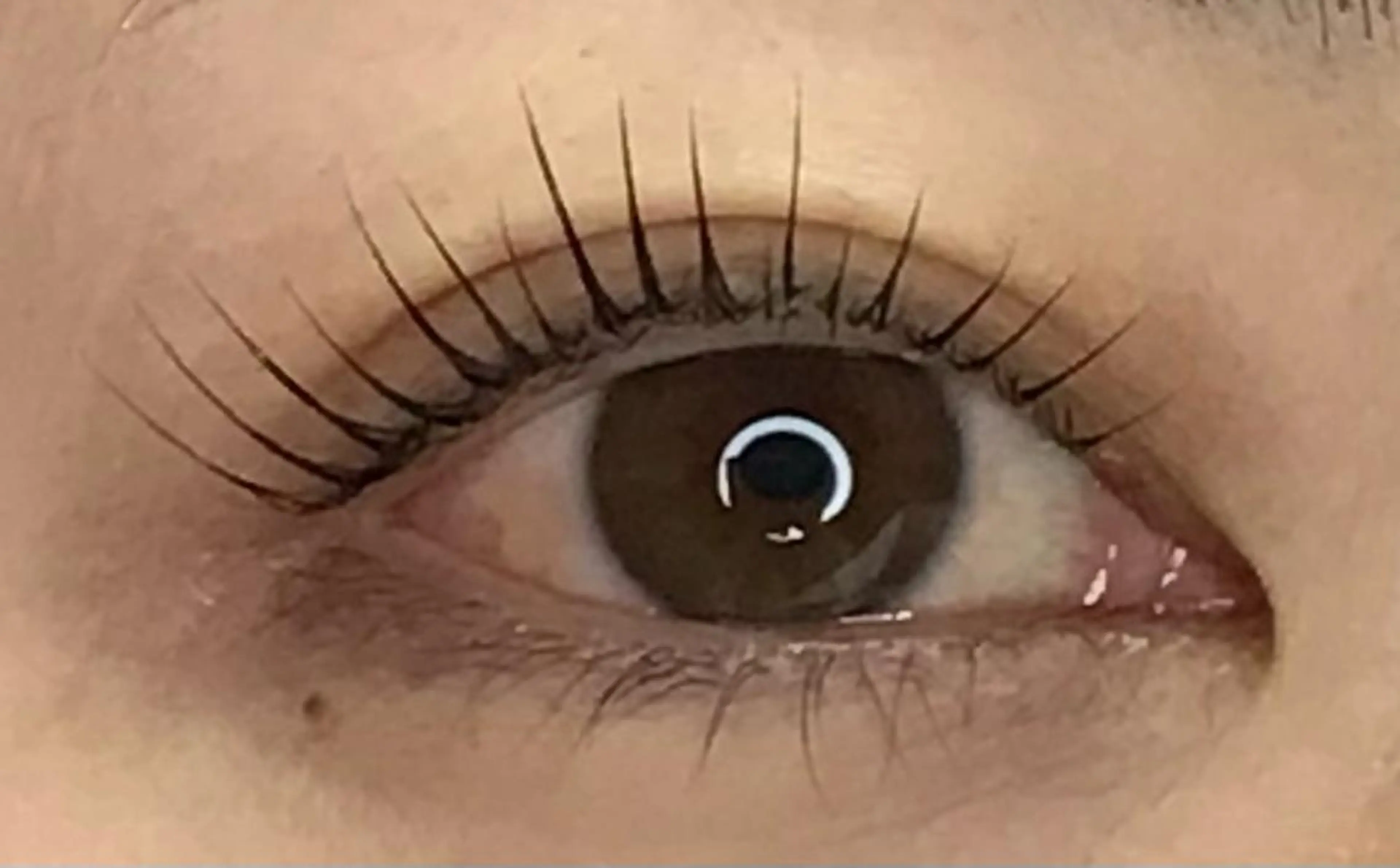 マツエク・マツパ JellyMiii所属・石原 美咲の眉毛・アイブロウイメージ