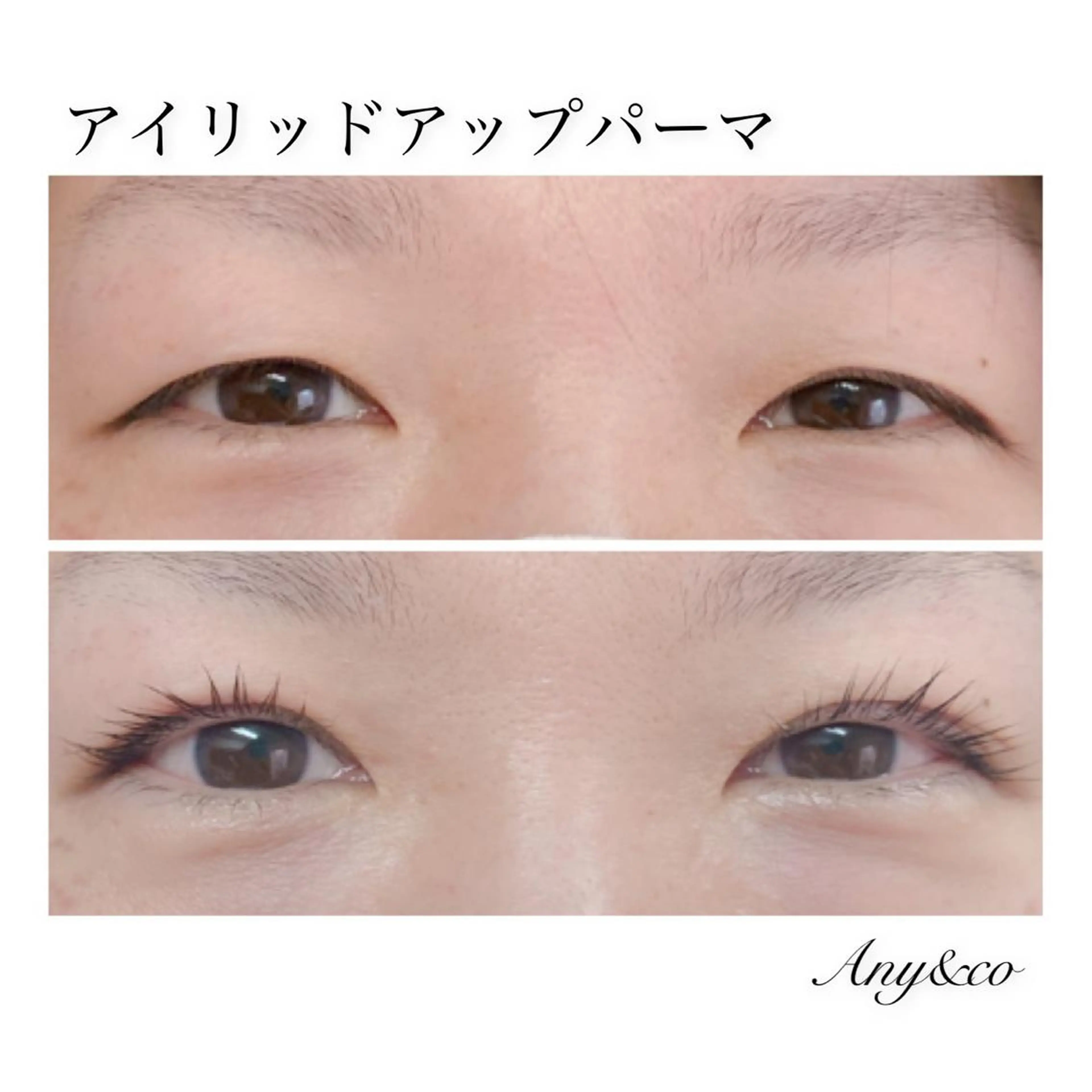 マツエク・マツパ アイリッドアップパーマ Any&co 【エニコ】のマツエク・マツパデザイン