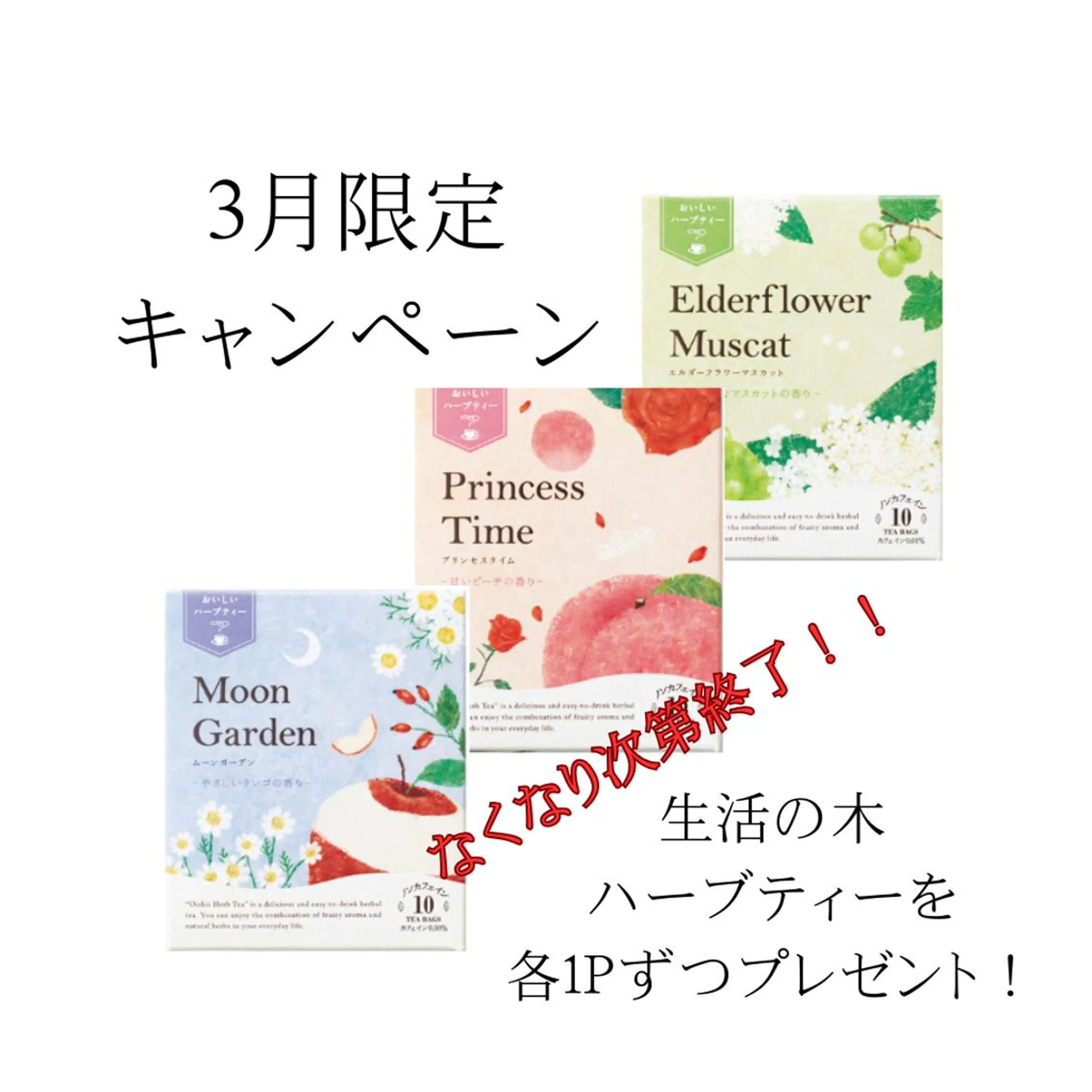 マツエク・マツパ その他 ホワイトニングサロン nico西葛西店のその他イメージ