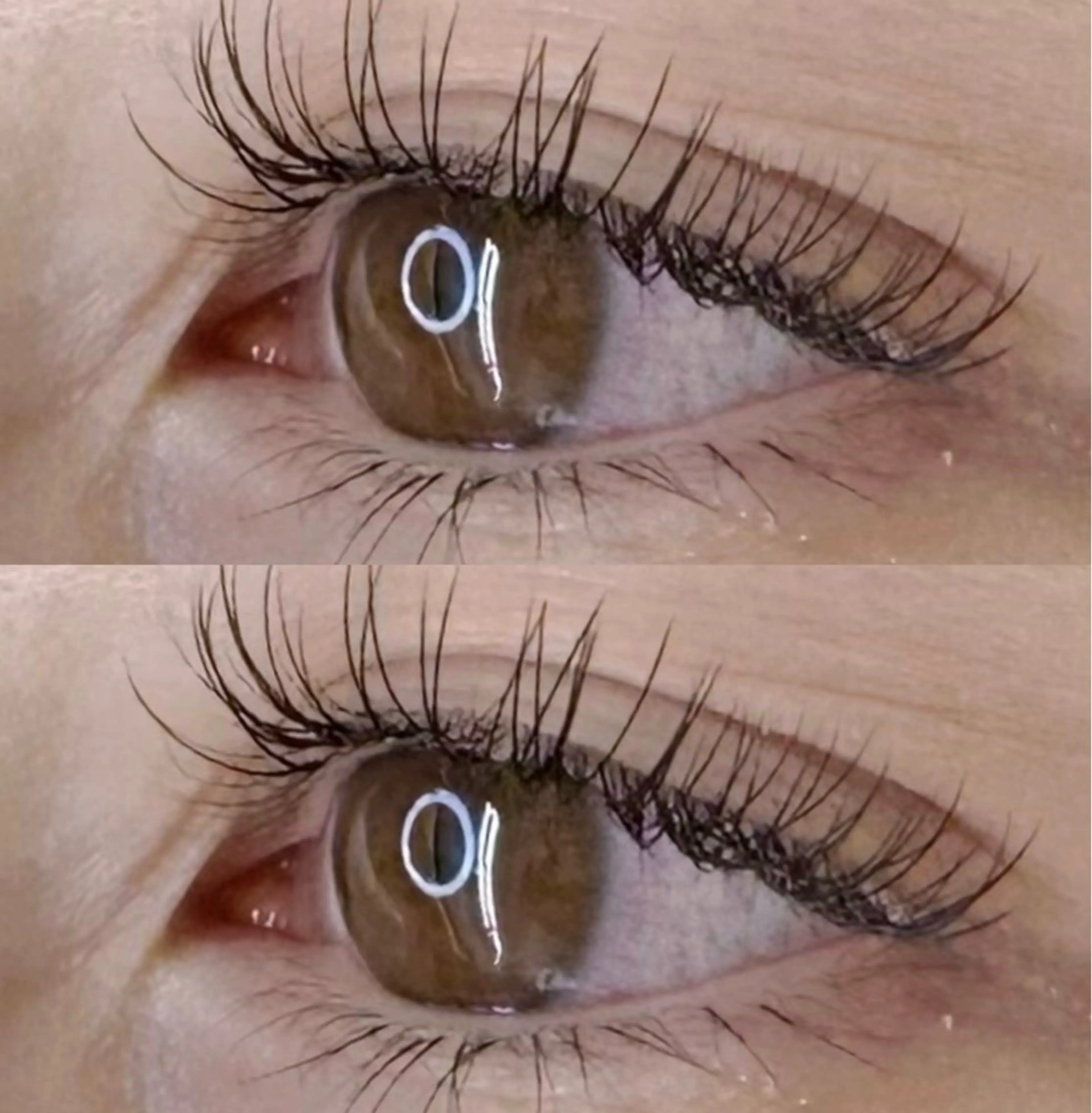 12月限定‼️ 🩶 LED120本/オフあり🙆‍♀️🩶 ⚠️当店ご来店が初めての方のみ⚠️の写真