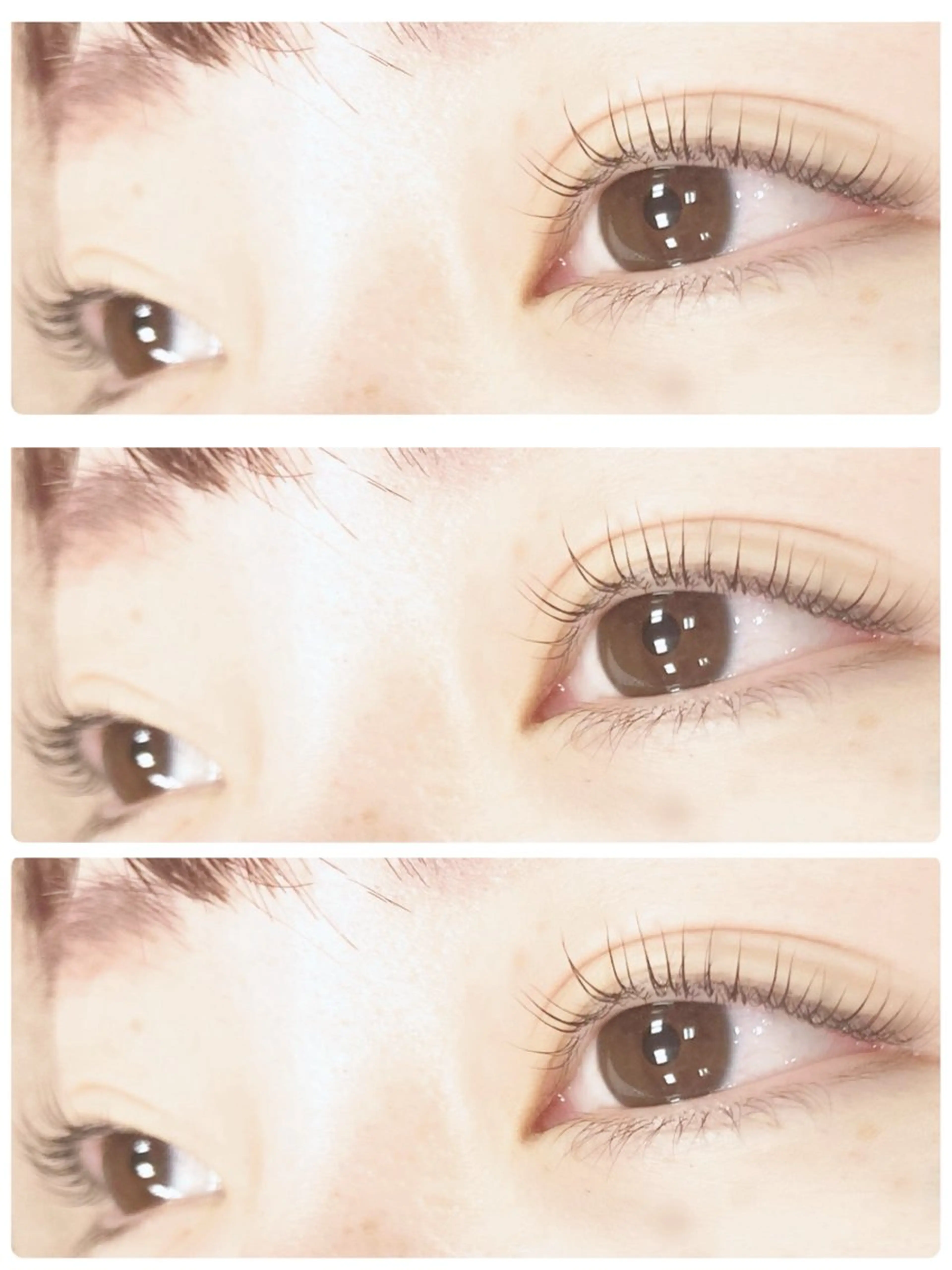 【再来】パリジェンヌラッシュリフト🎀✨の写真