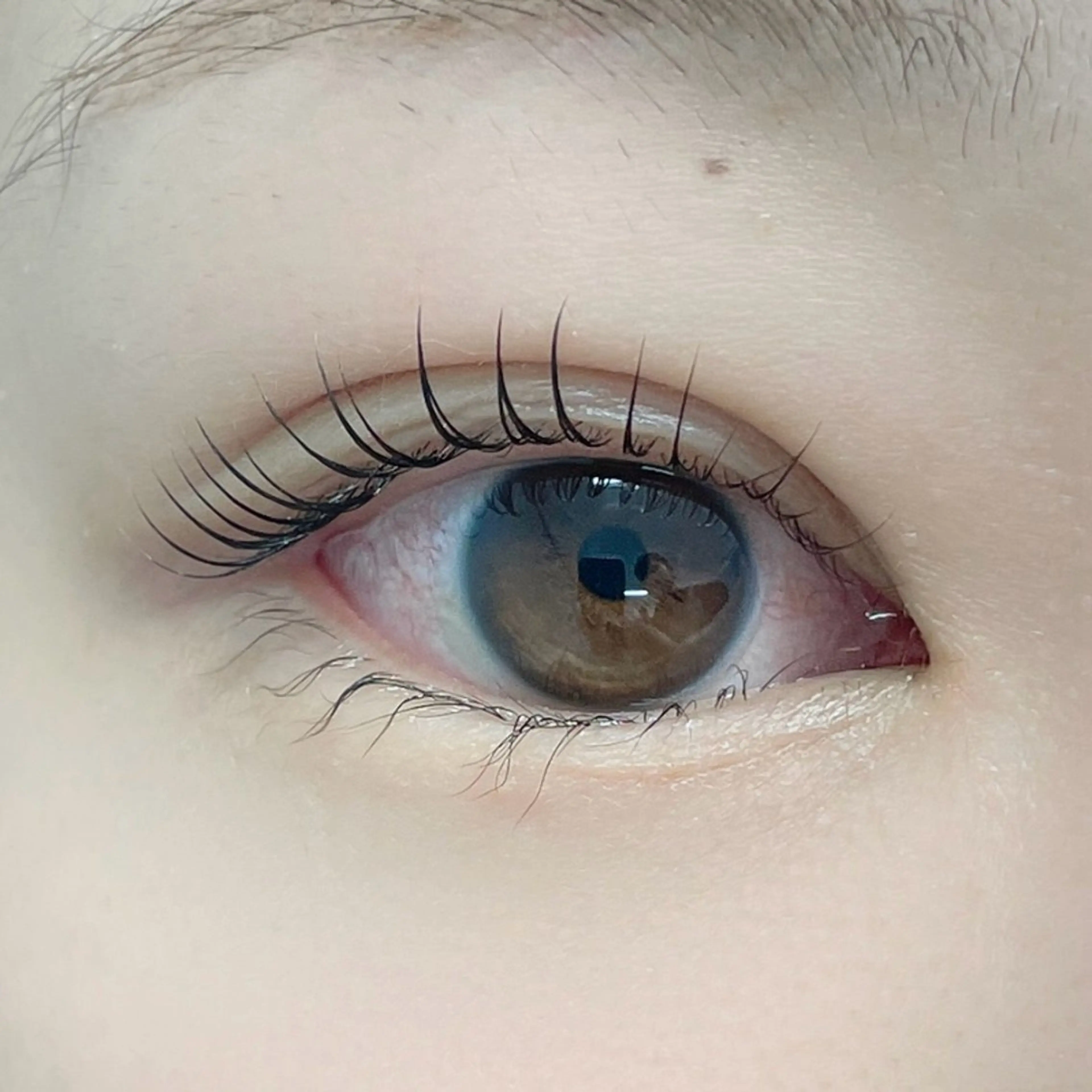 マツエク・マツパ マツパ GO TODAY シェアサロン 銀座Eclara店所属・mihiro 銀座まつぱﾏﾂｴｸ眉のマツエク・マツパデザイン