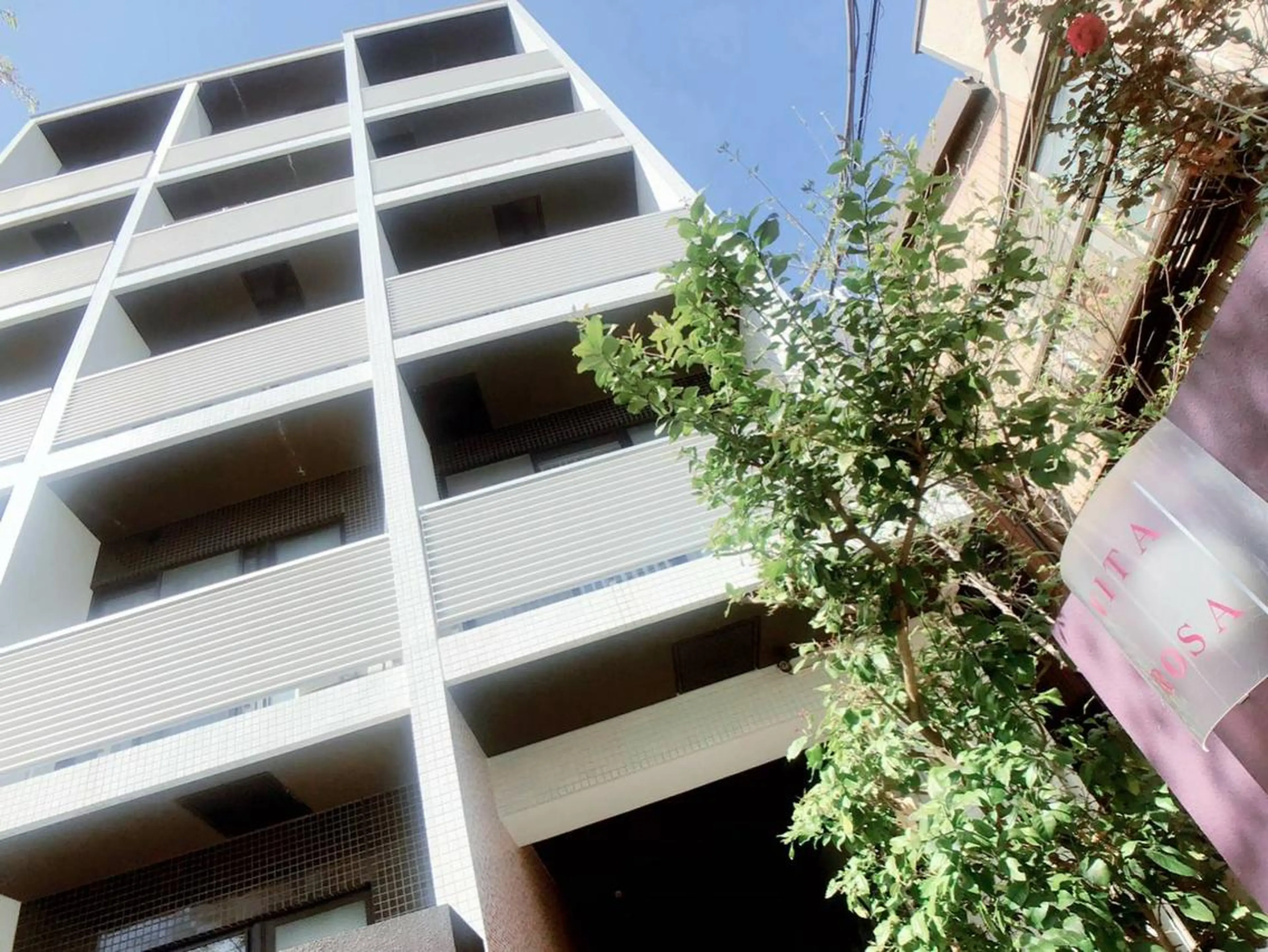 吉川 律子のマツエク・マツパデザイン