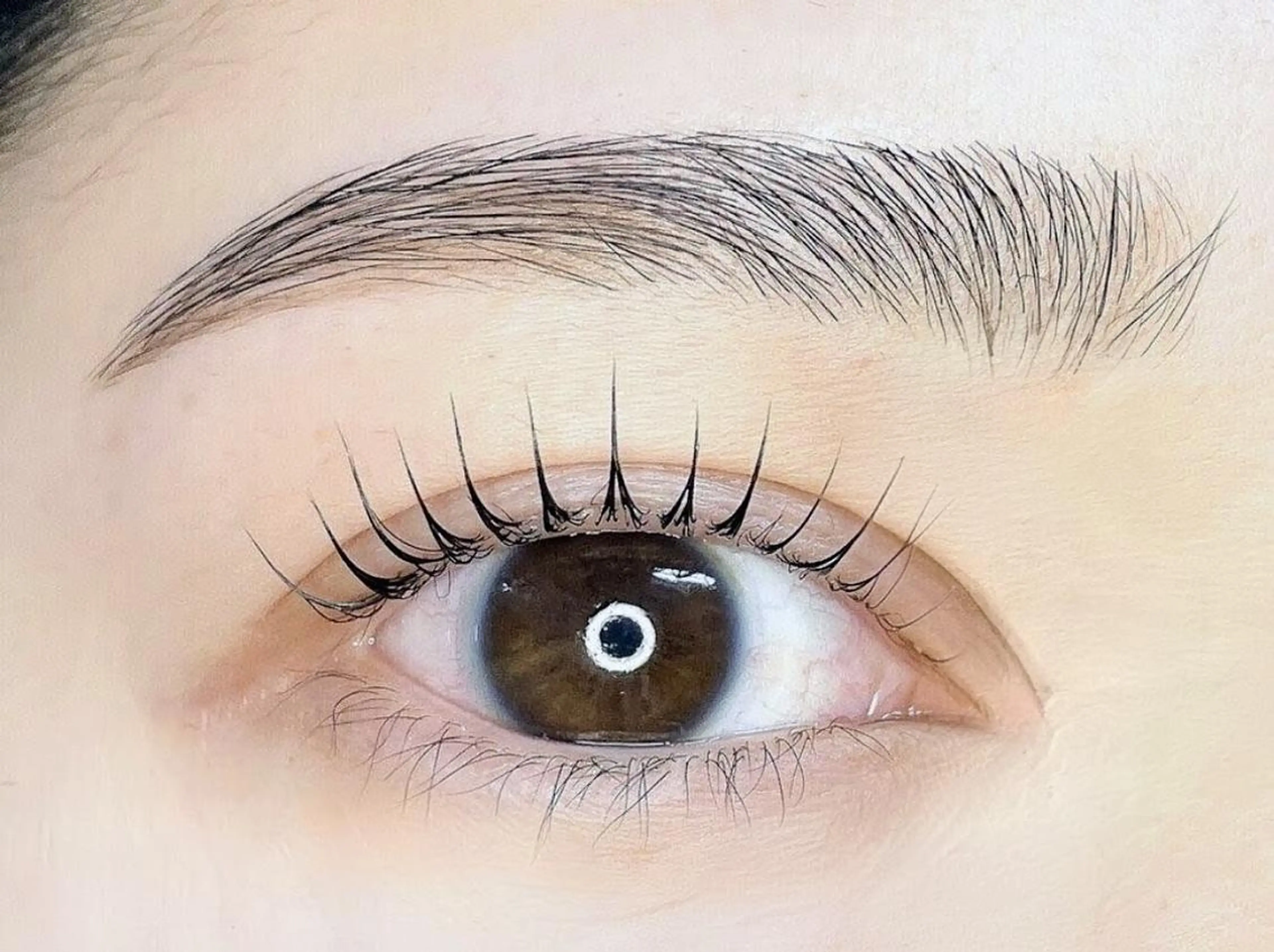 アイブロウ メンズアイブロウ Reline まつげ、ネイルの眉毛・アイブロウイメージ