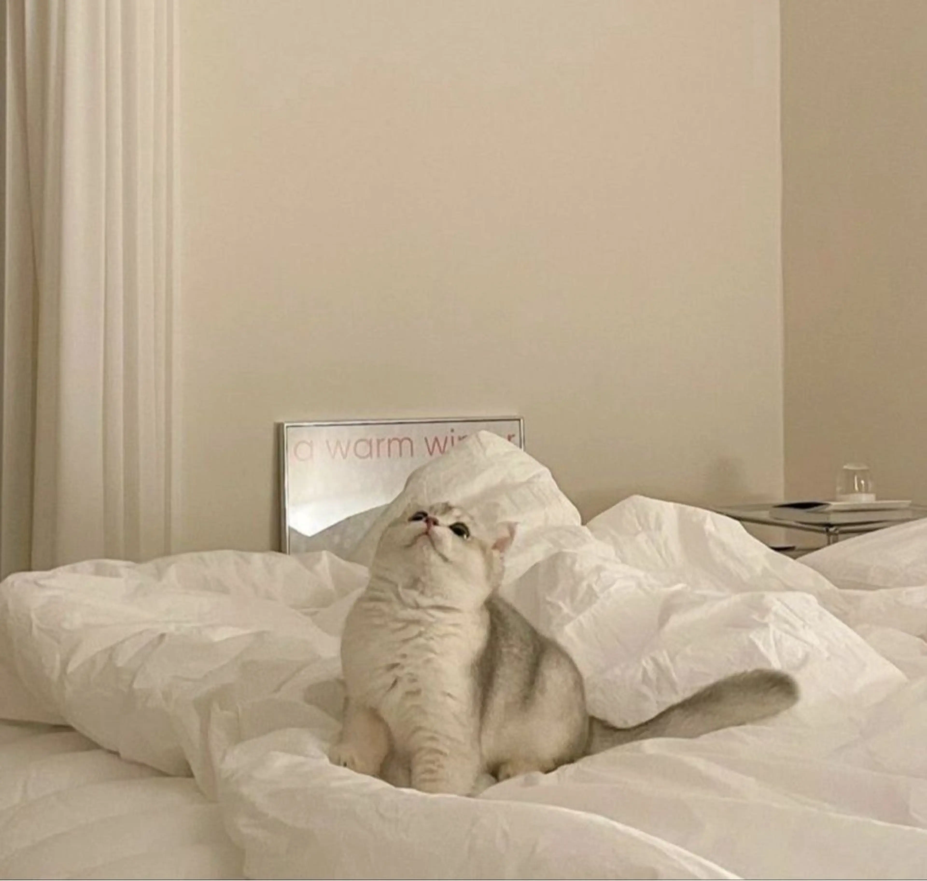 アイブロウ アイブロウ専門店  エサージュ横浜店所属・アイブロウモデル募集 /mana🎀🤍の眉毛・アイブロウイメージ