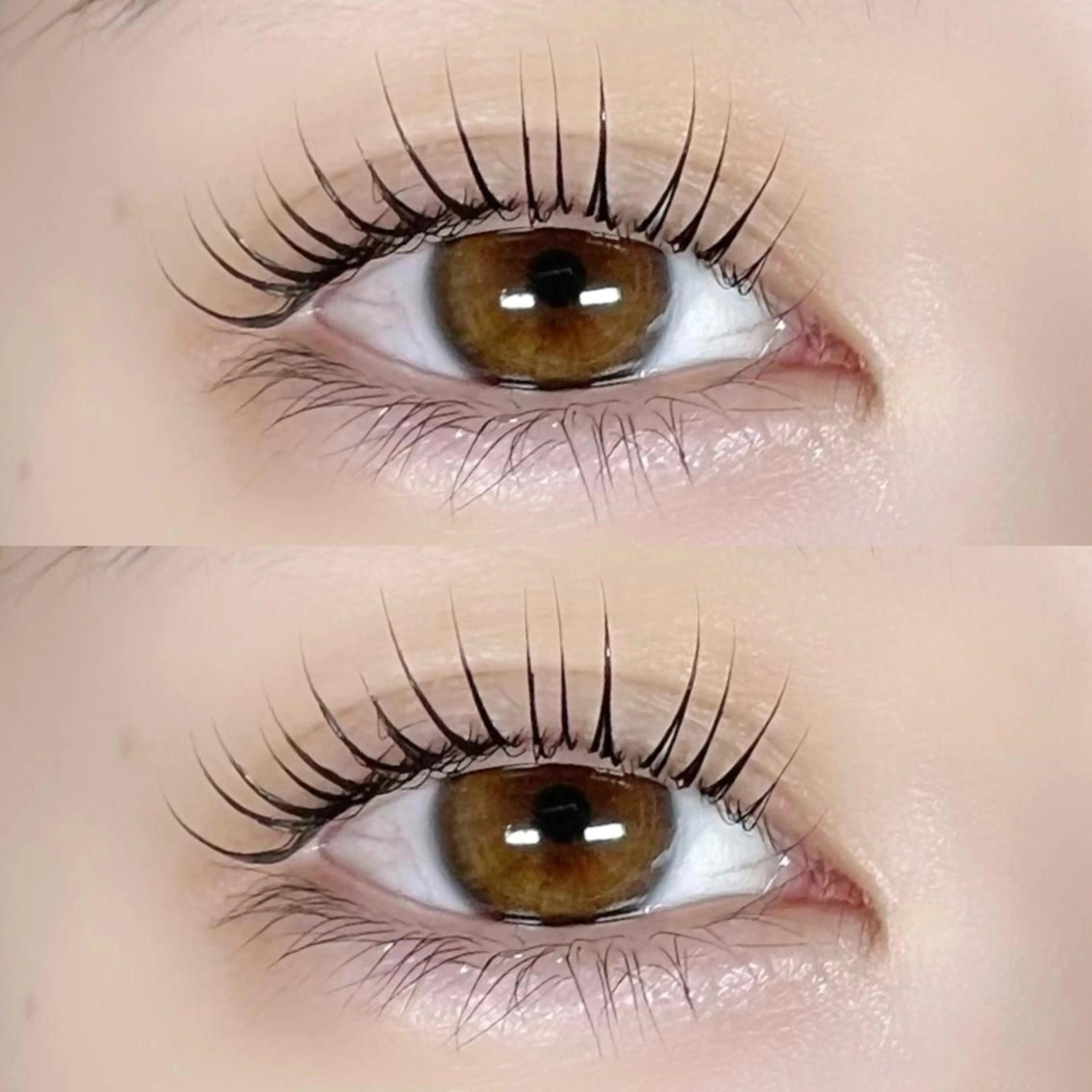 【平日当日予約限定🔅】パリジェンヌorまつげパーマ+コーティングの写真