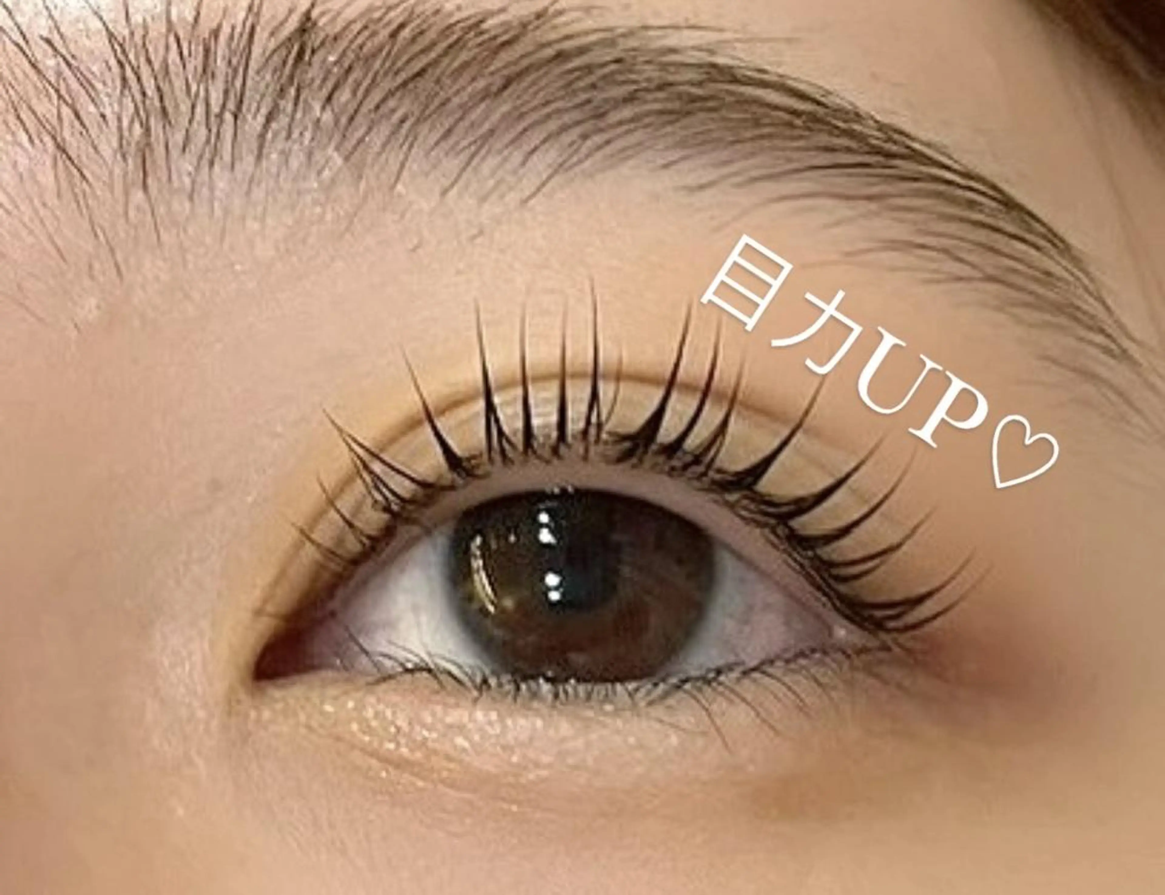 ✨🧡全員クーポン🧡✨🎀束感まつぱ＋高級コーティング付き🫧🪄の写真