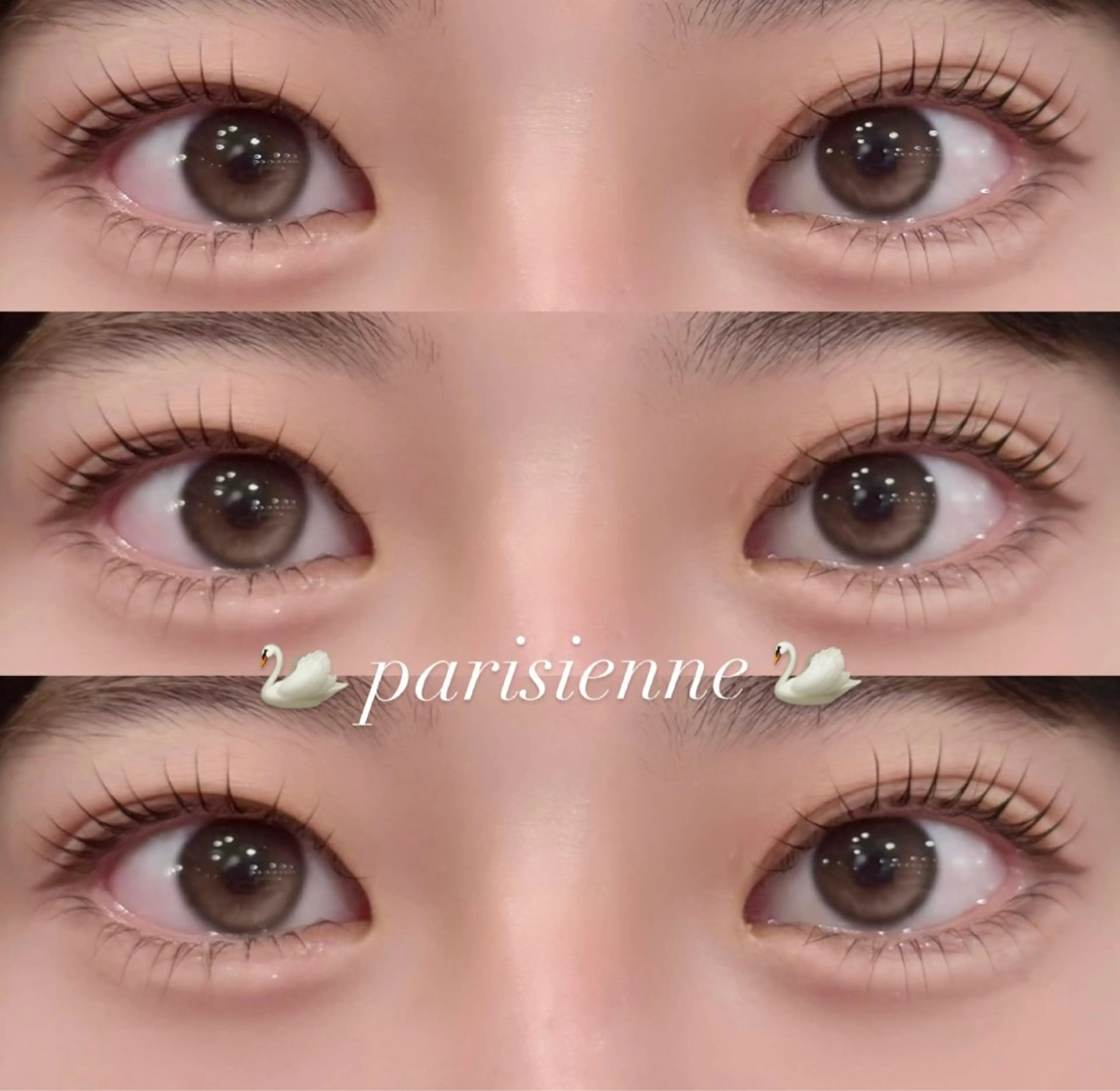 マツエク・マツパ パリジェンヌラッシュリフト マツパ OLIVIA GINZA高畠のマツエク・マツパデザイン