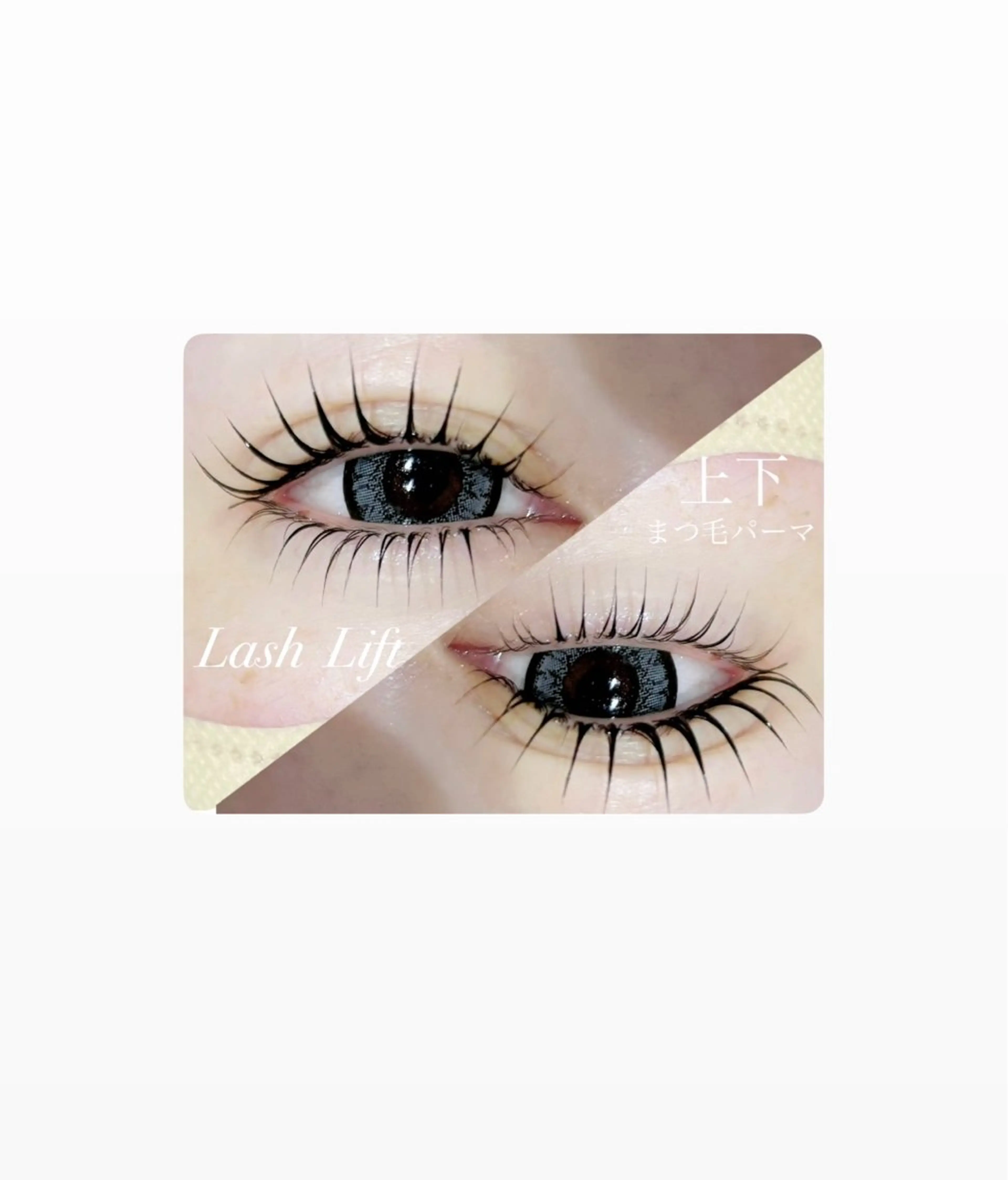 マツエク・マツパ 下まつげエクステ Beauty　salon　Mil所属・🤍下村 絢香🤍のマツエク・マツパデザイン