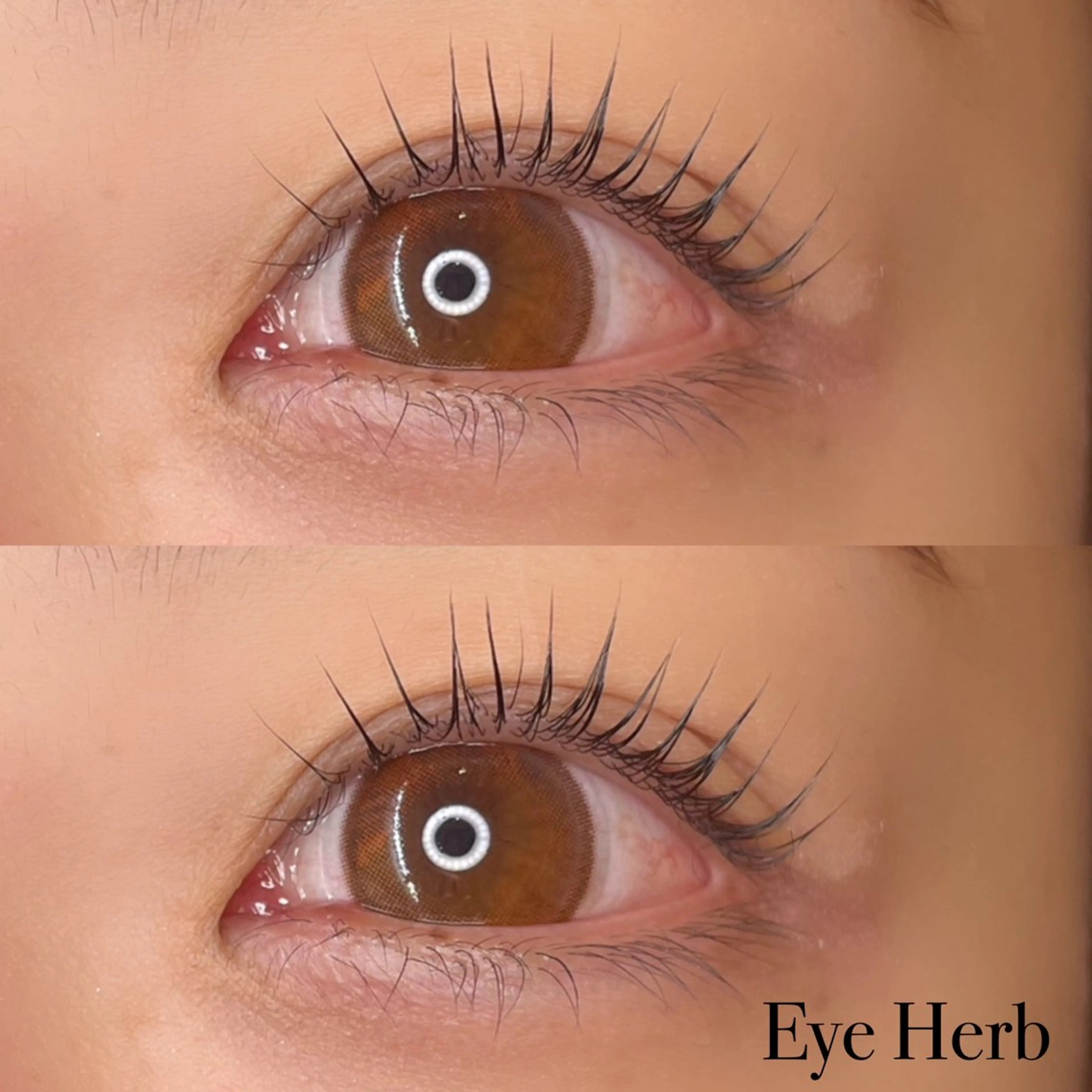 マツエク・マツパ パリジェンヌラッシュリフト Eye Herb beauty salon所属・♡ Mireiのマツエク・マツパデザイン