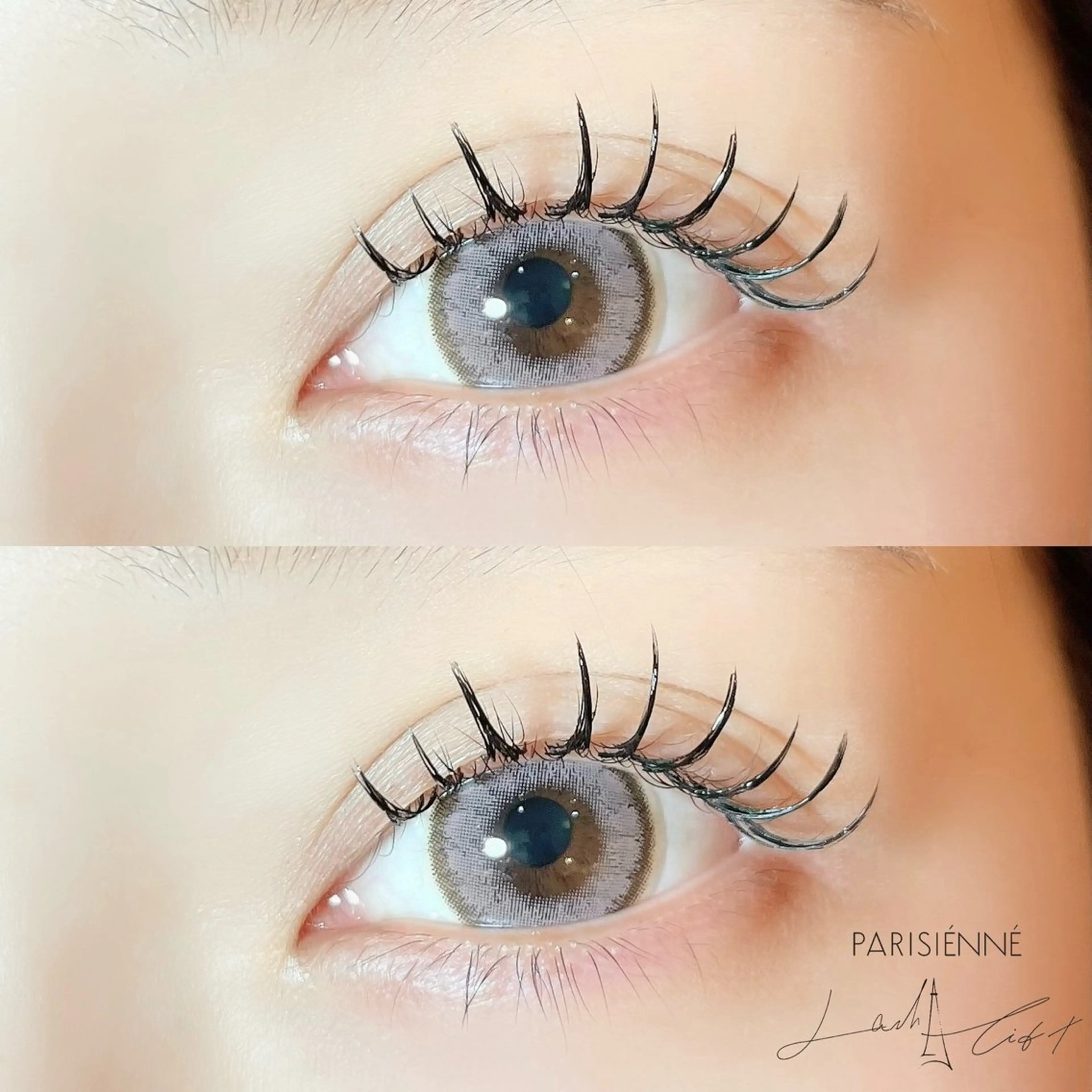 ãããšã¯ã»ããã Cã«ãŒã« ç®å°»é·ã sola: neoliveçç°ã®ãããšã¯ã»ããããã¶ã€ã³