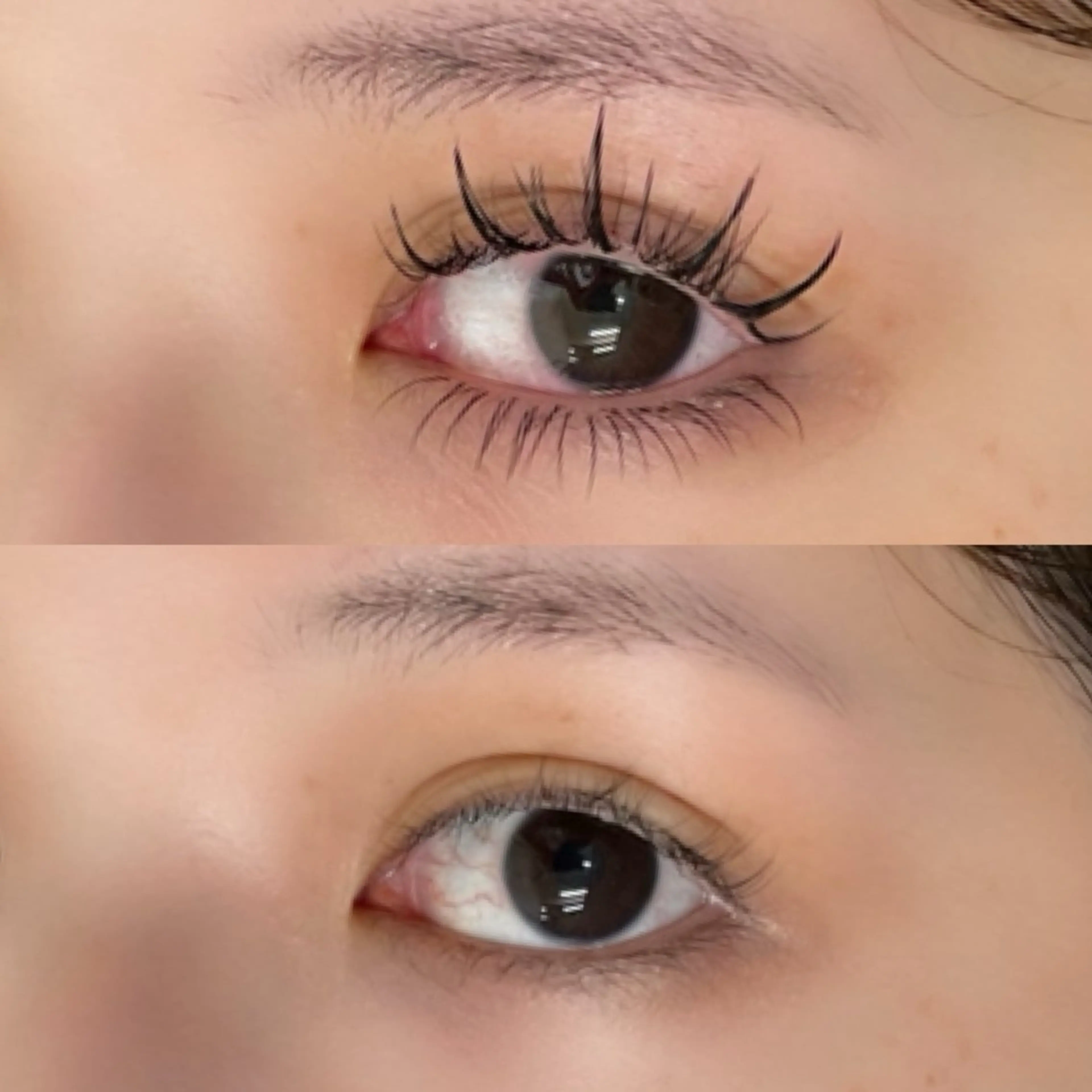 マツエク・マツパ ジュエル.《まつげ》 モデル様募集中のマツエク・マツパデザイン