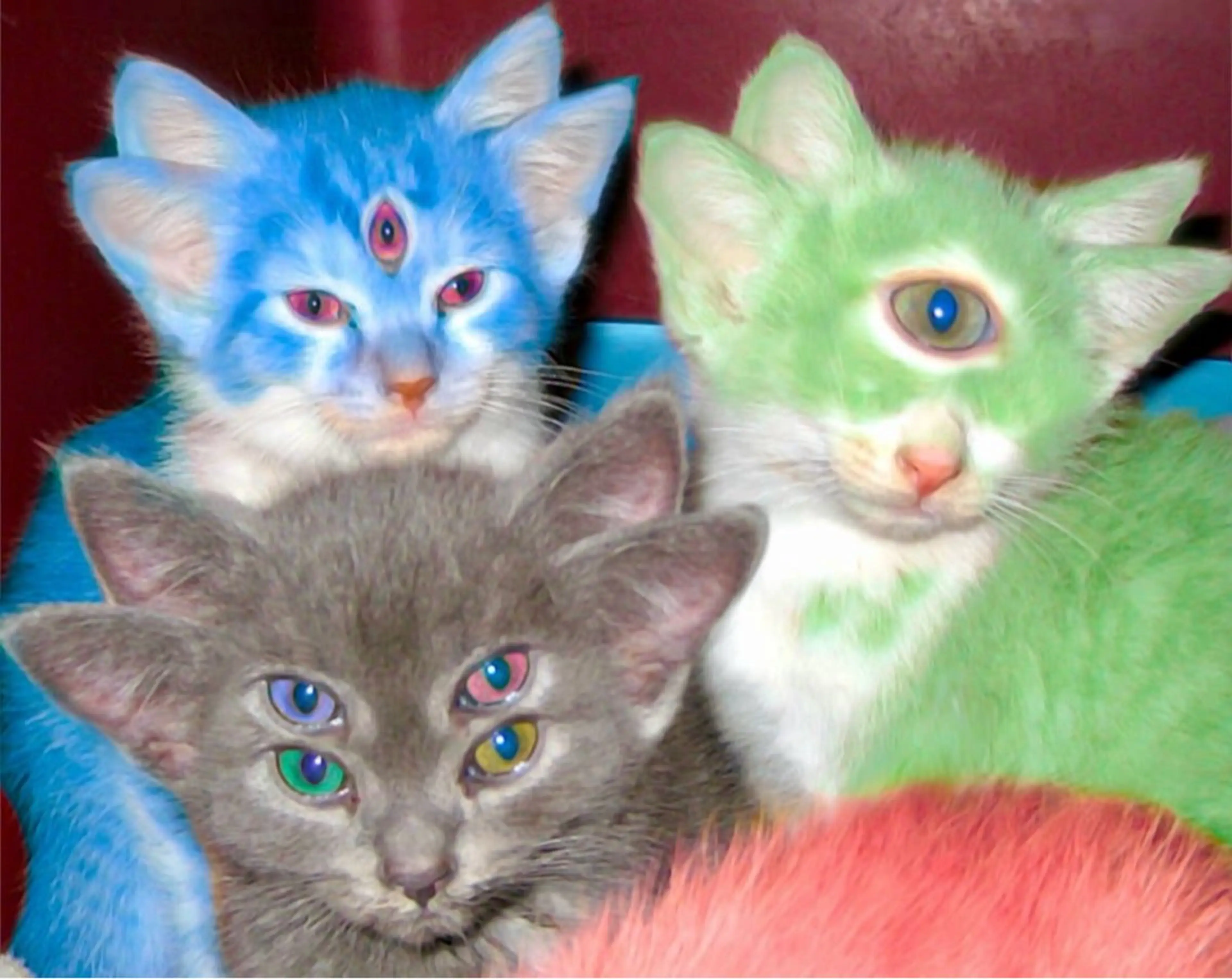 ネイル つめノ さきのネイルデザイン