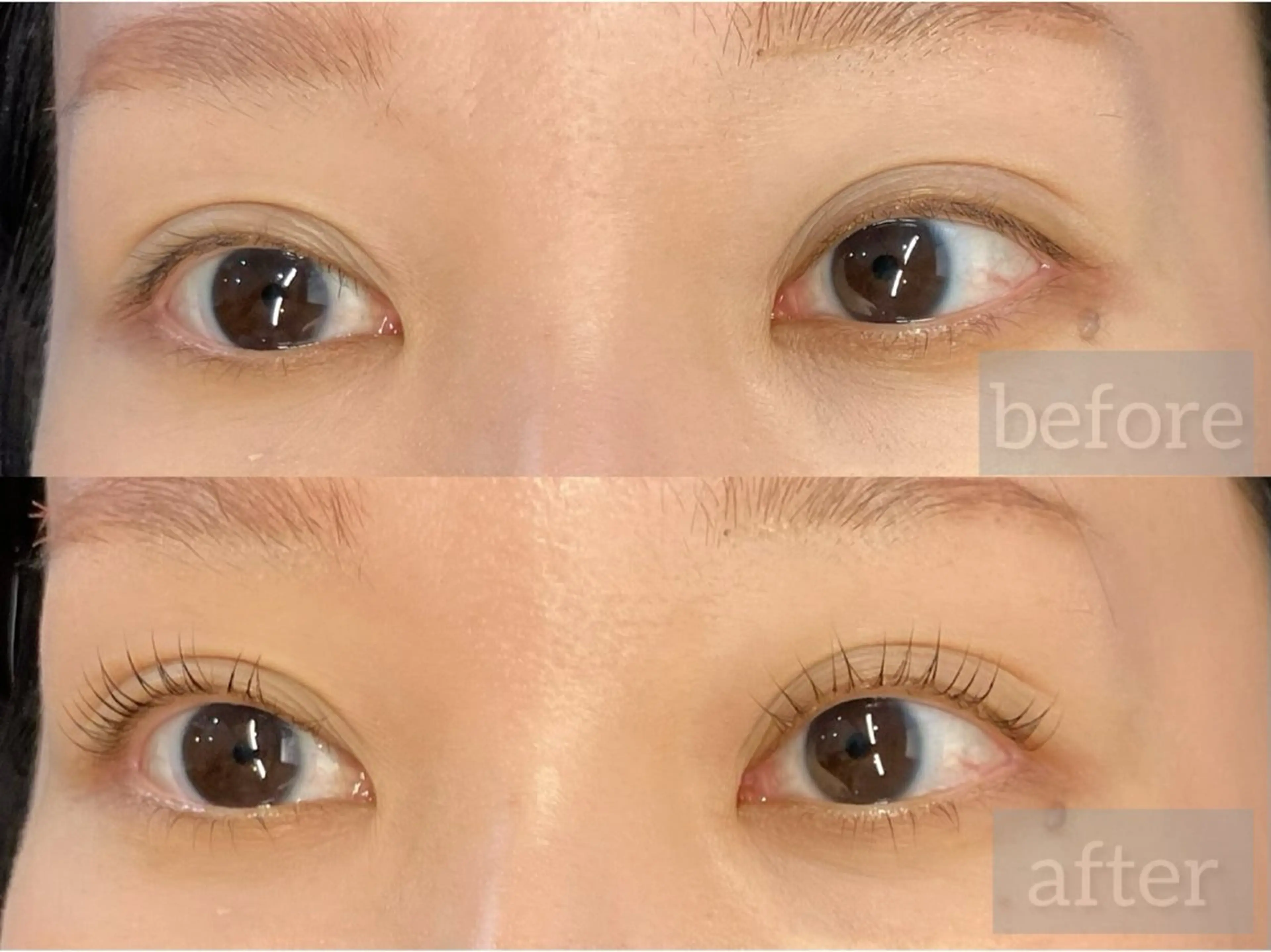 上下まつ毛パーマ(ケラチントリートメント・アイシャンプー付)の写真