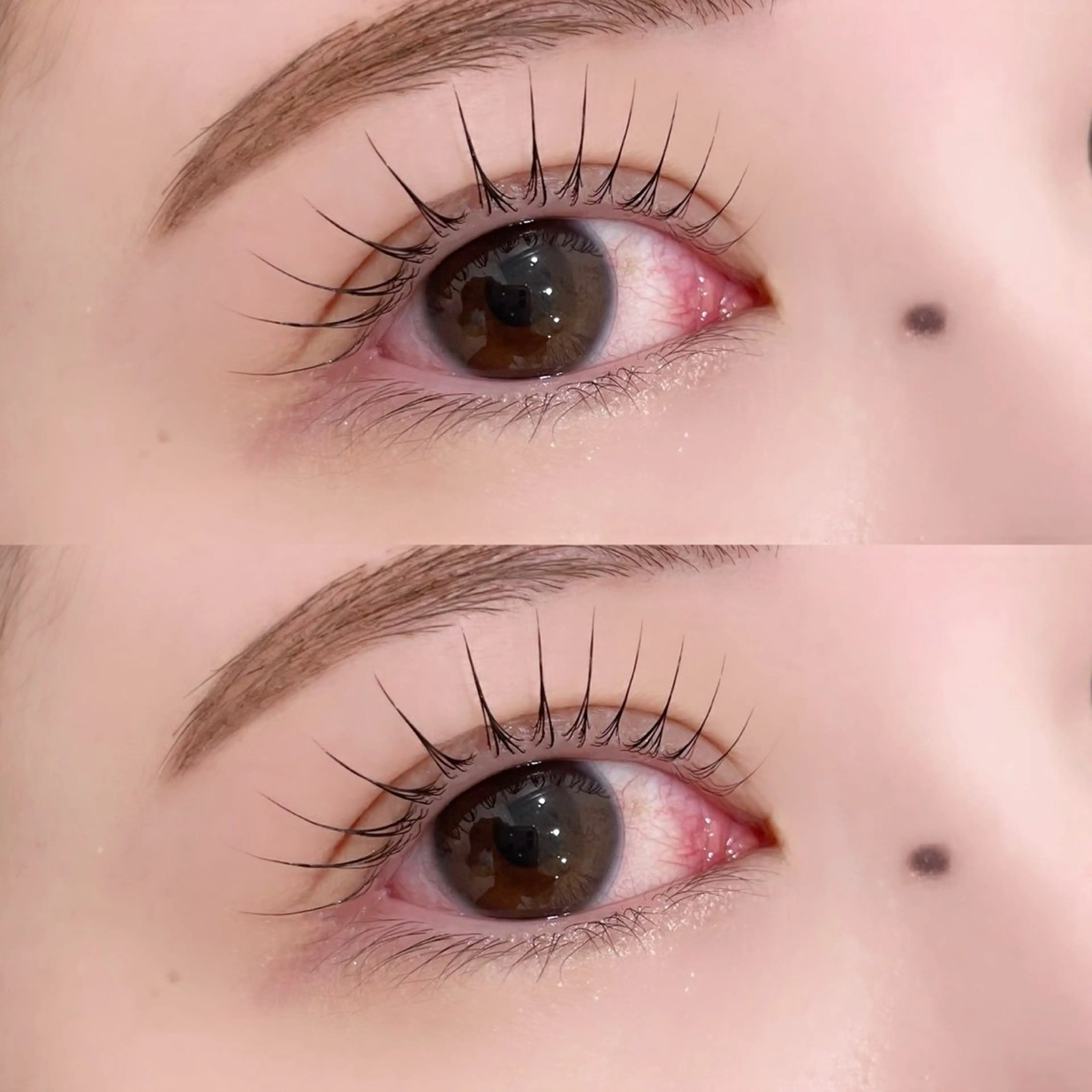 【まつ毛パーマ➕アイブロウワックス🩵✨】ミニモ限定価格✨※⚠️お支払い現金のみの写真