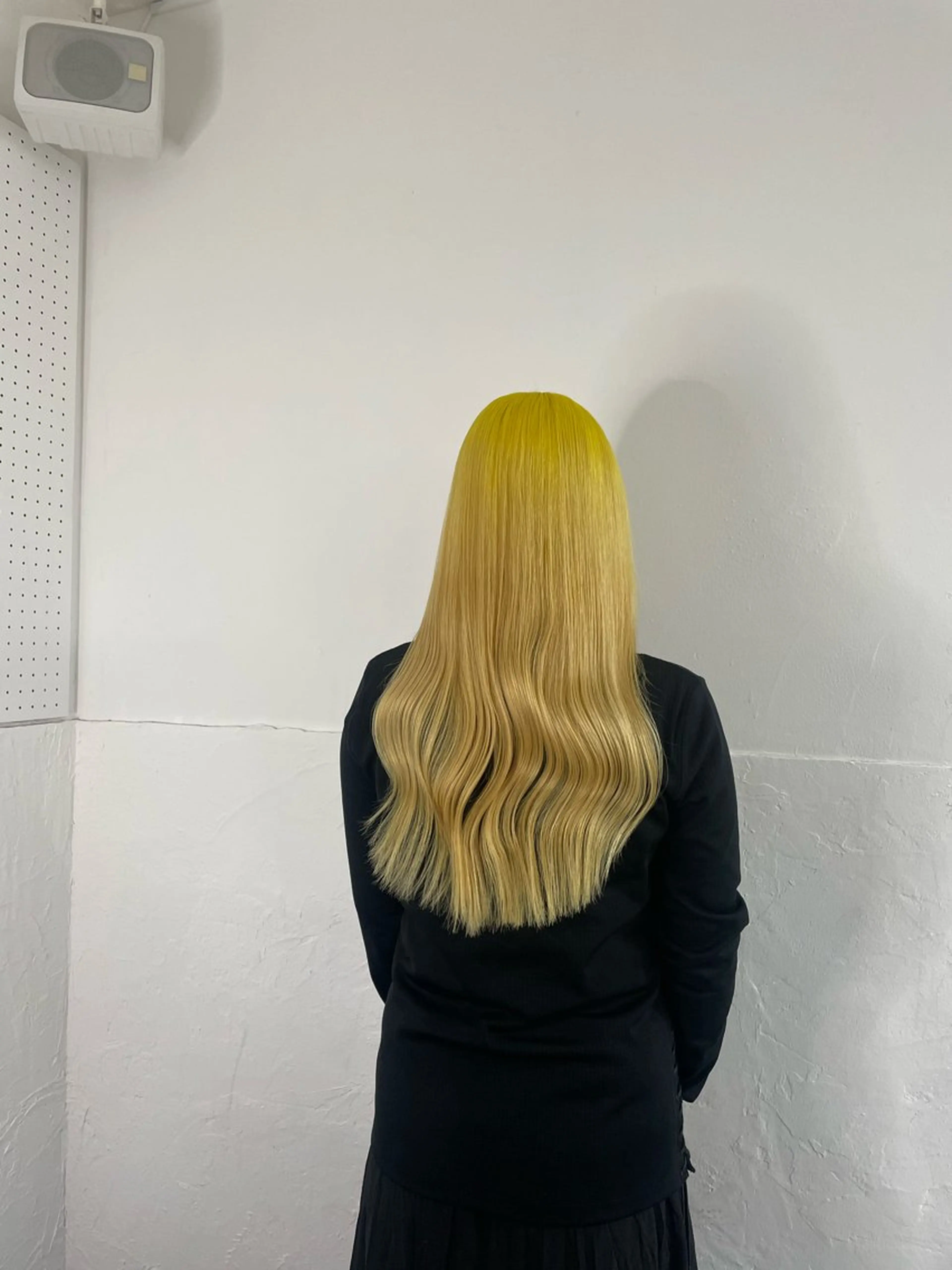 ロング ヘアアレンジ 🦠デザインカラー/ 魚瀬あおい🦠のヘアスタイル