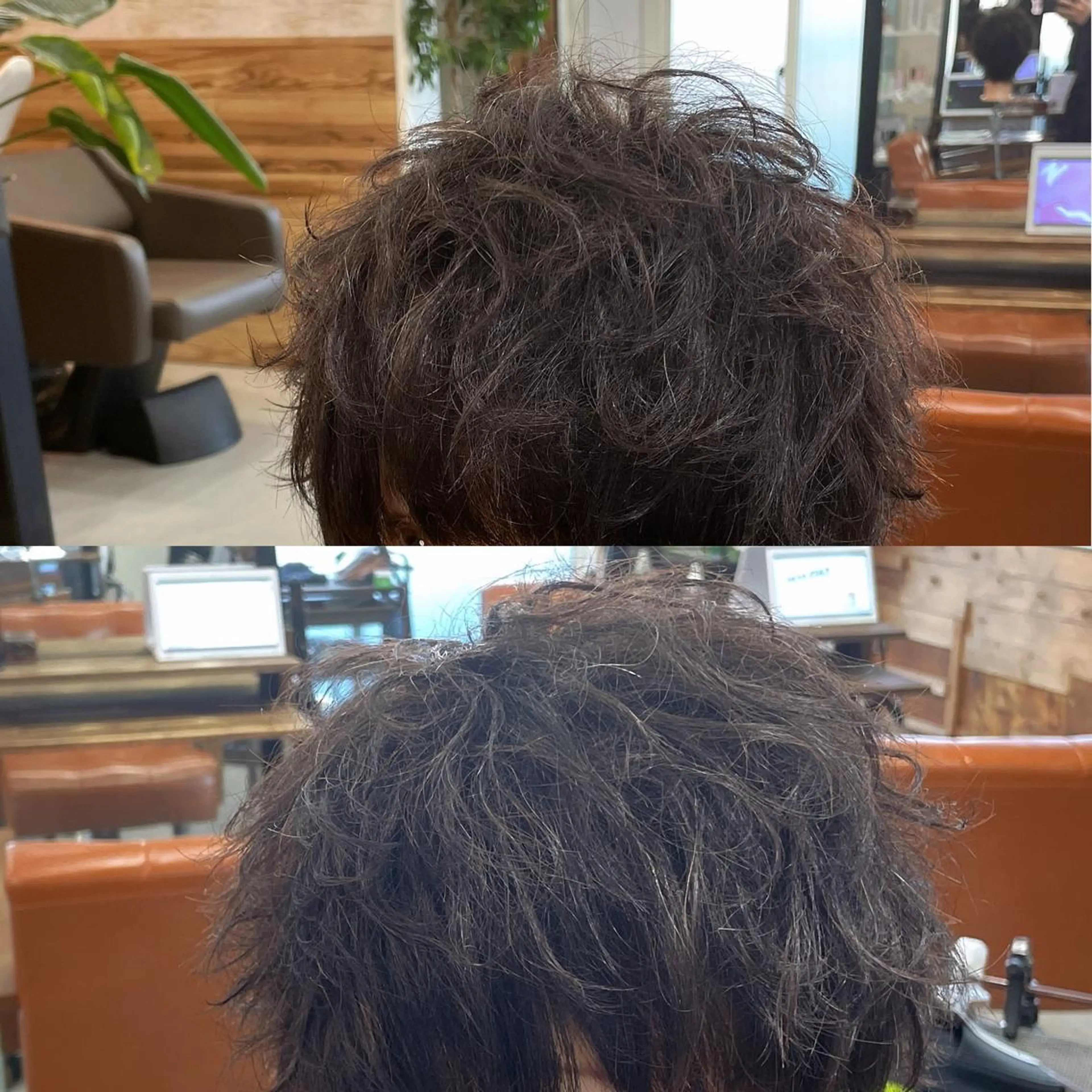 ショート メンズ マッシュウルフ マッシュ メンズウルフカット ウルフカット カット かんばら りょーいのヘアスタイル