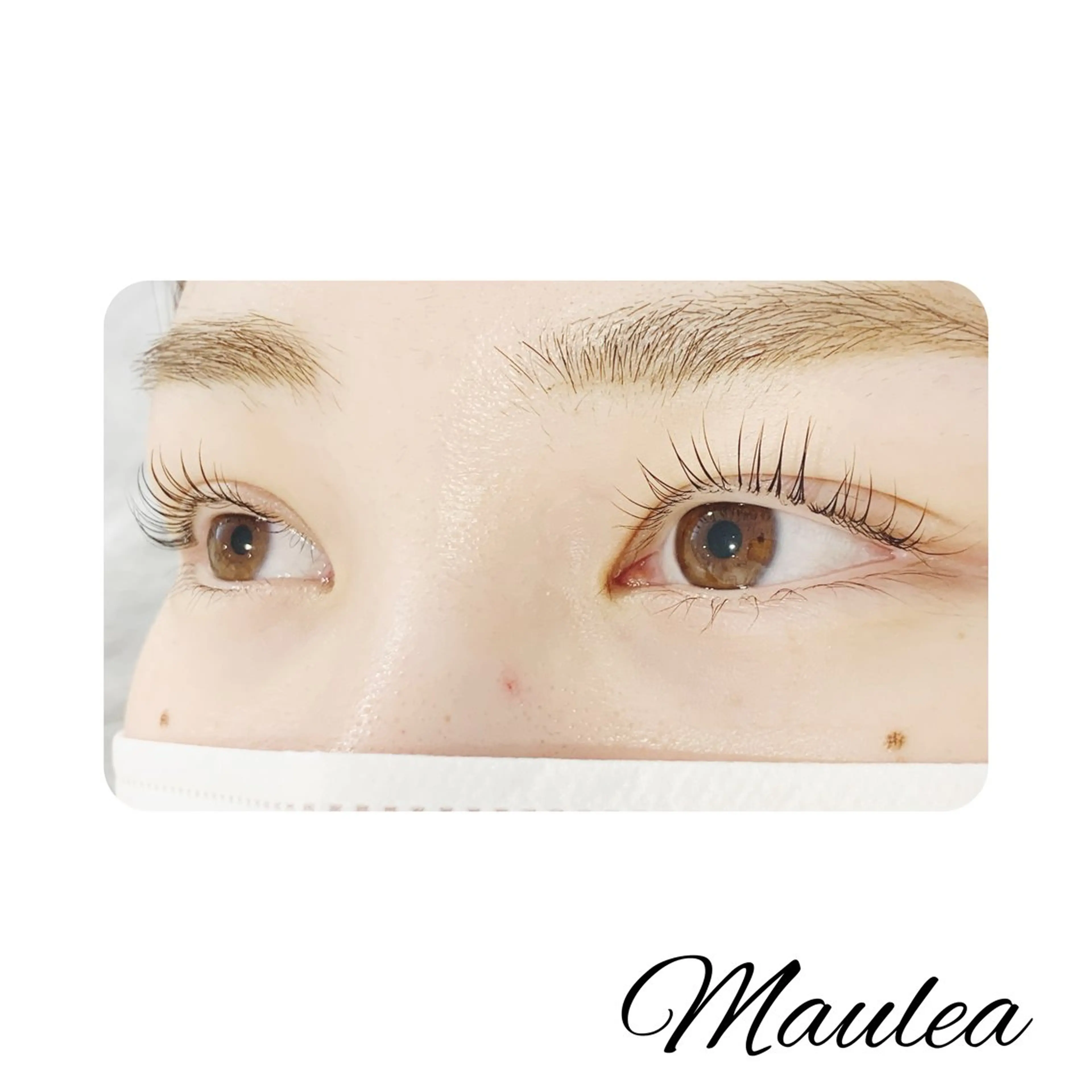 🎍minimo特別価格🎍🫧まつ毛パーマ+仕上げコーティング付🫧の写真